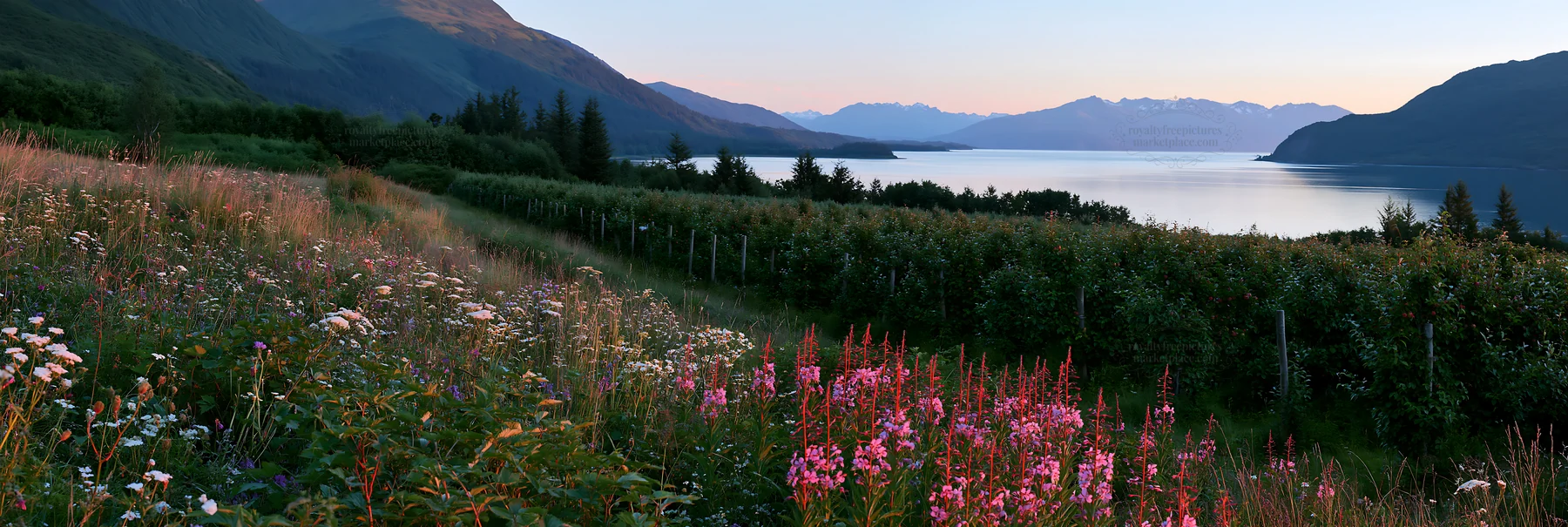 Fjord orchard meadow with colorful flowers and calm water - AI-generated stock image