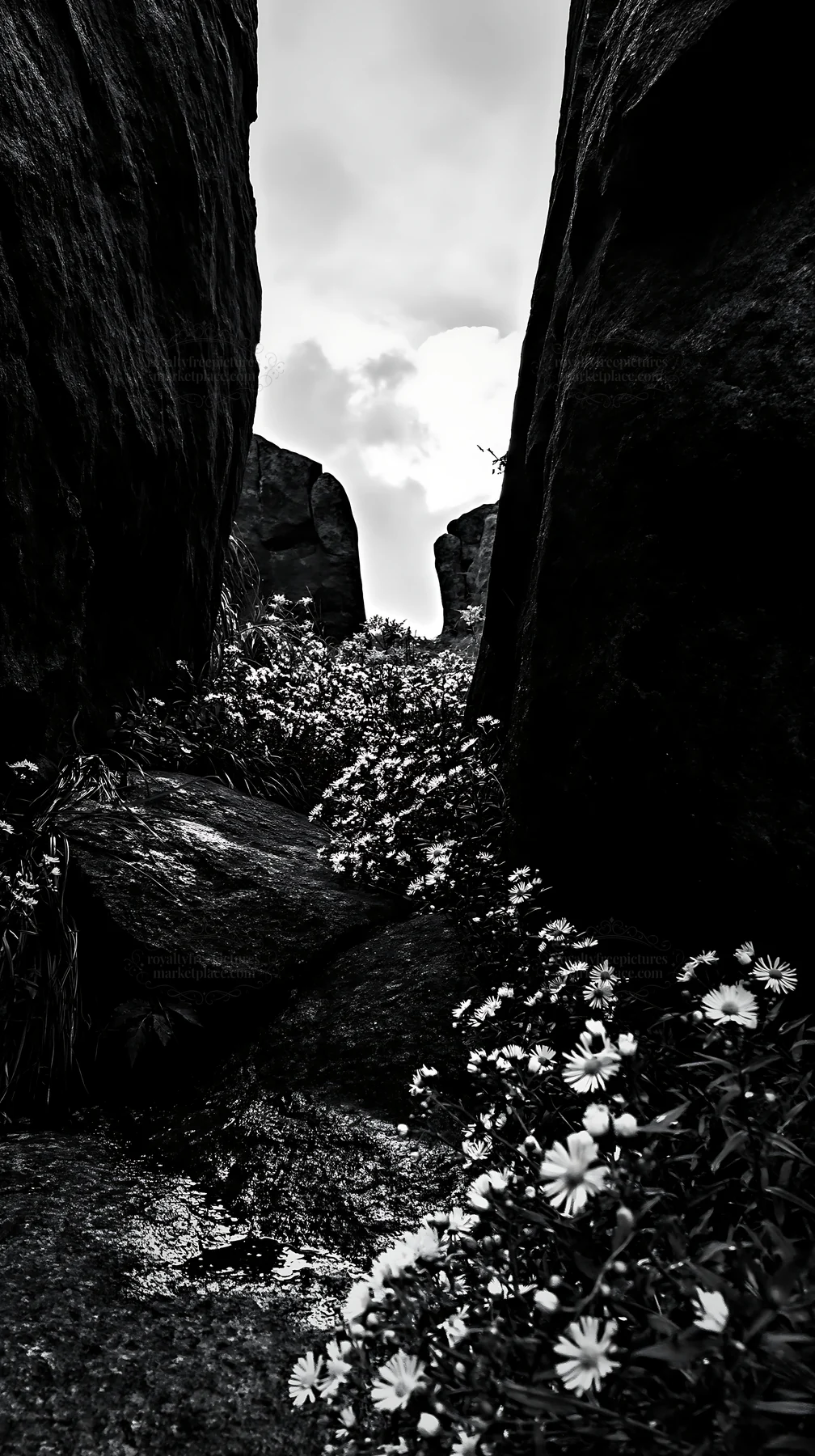 Flowers and granite stones in Oita highland meadow - AI-generated stock image