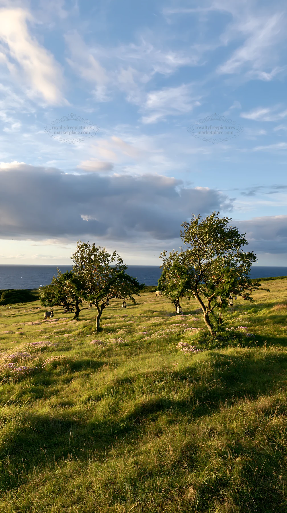 Meadow with apple trees near the coast in daylight - AI-generated stock image