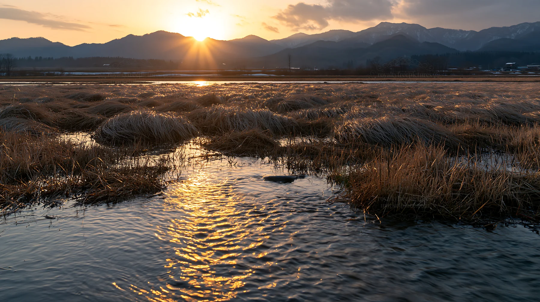 Sunset over Akita snowmelt meadow with silver grasses - AI-generated stock image