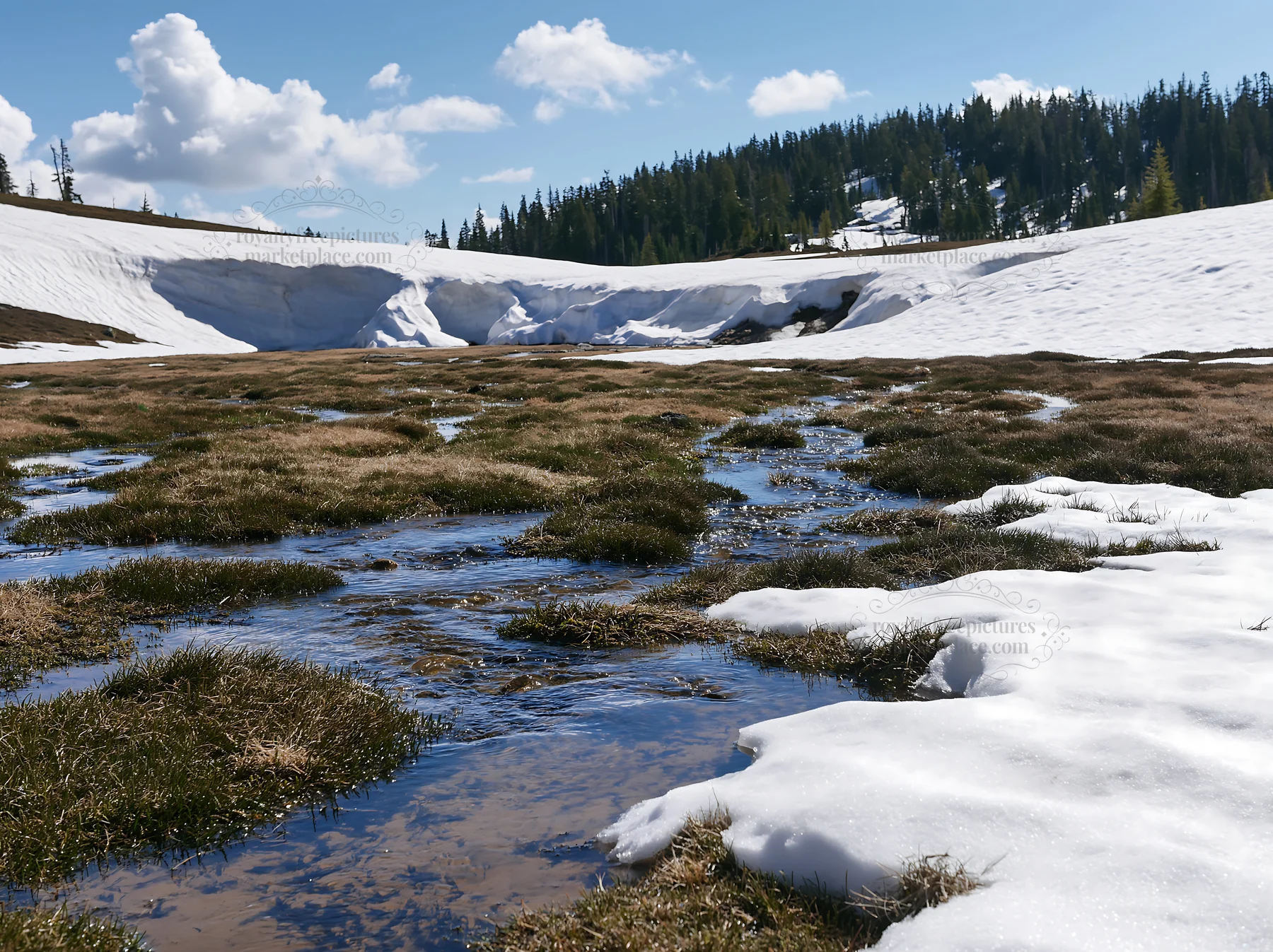 Snowmelt stream flows through meadow in mountain landscape - AI-generated stock image