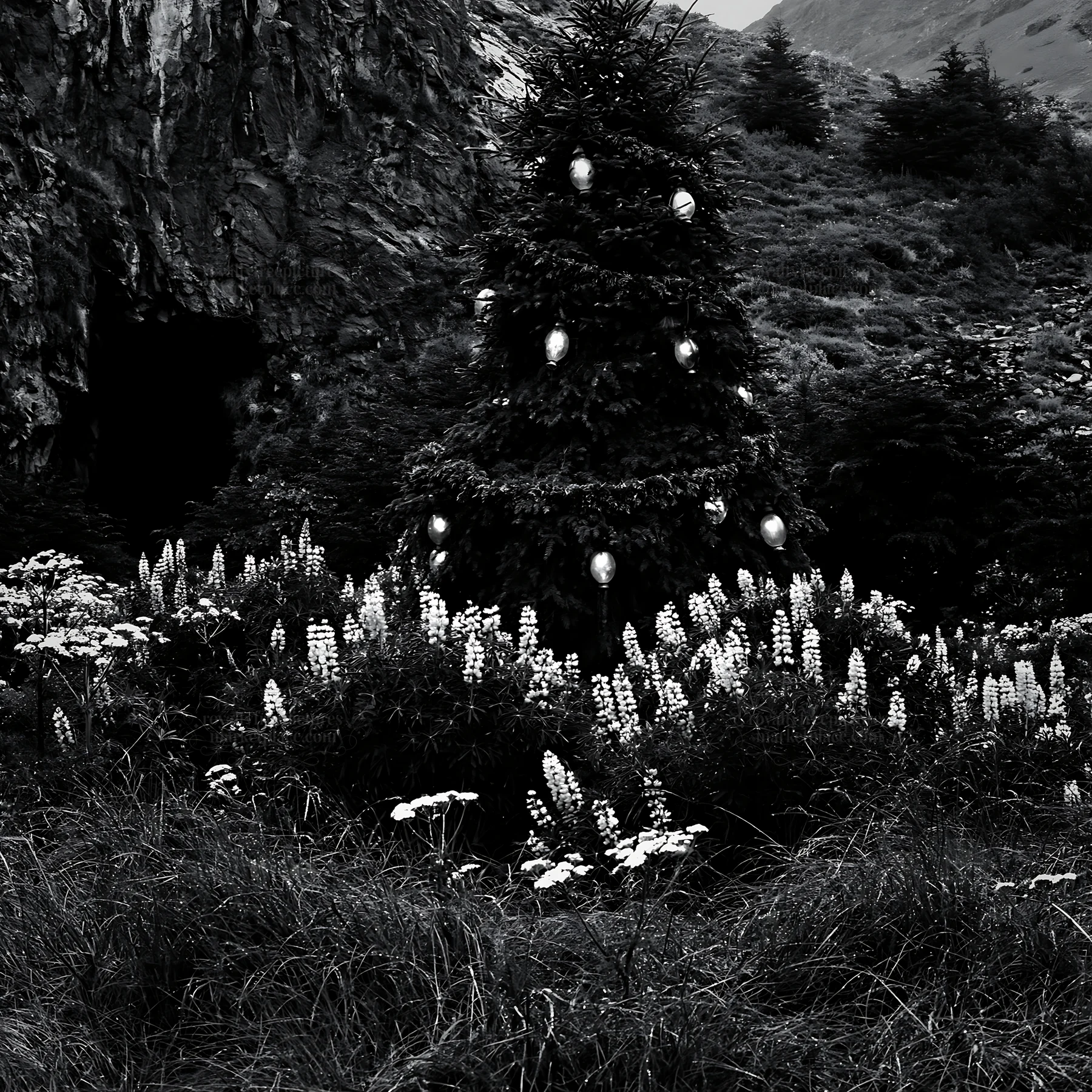 Christmas tree with lanterns in meadow by cave - AI-generated stock image