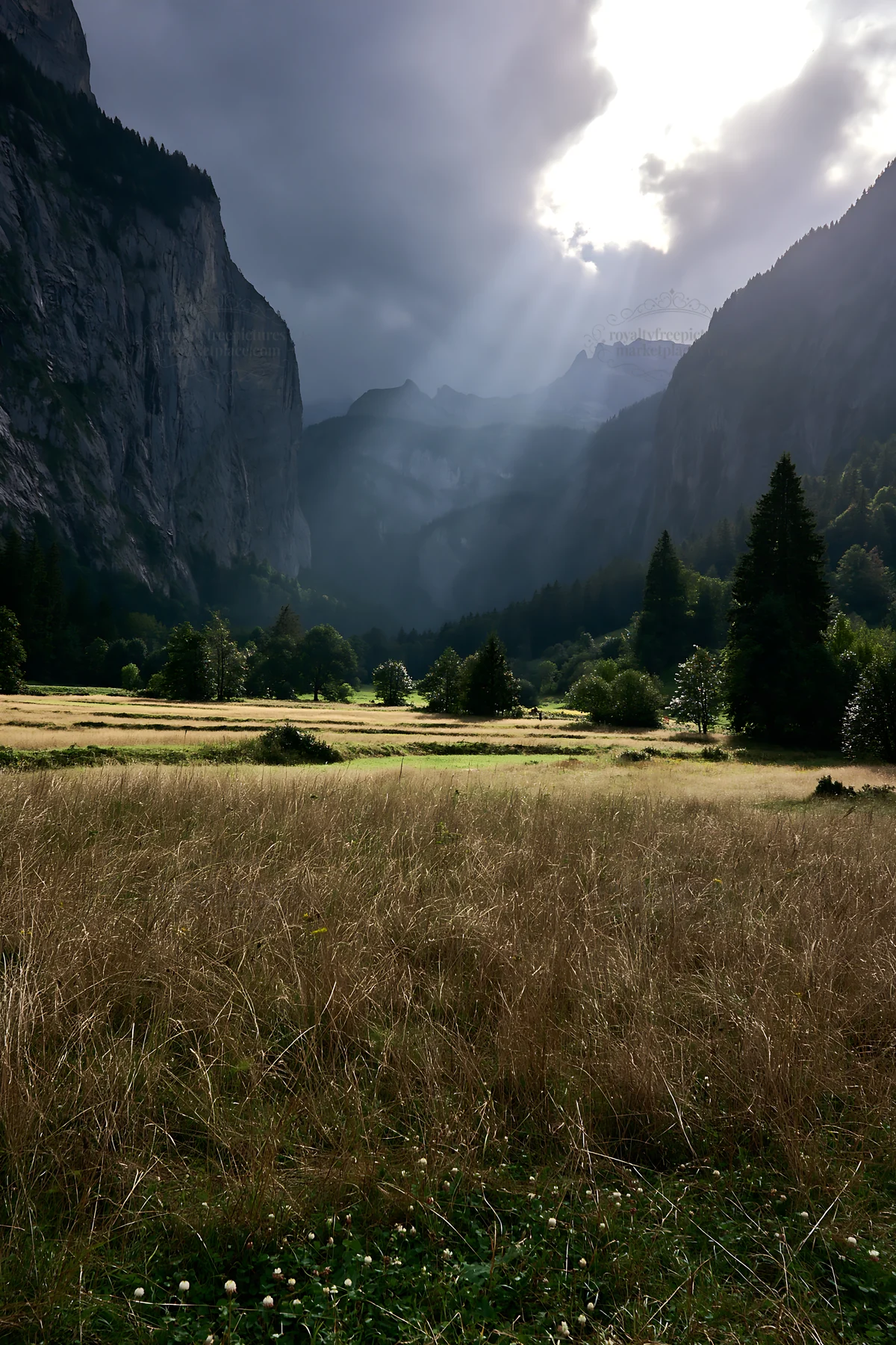 Lauterbrunnen Valley meadow with light rays and mountains - AI-generated stock image