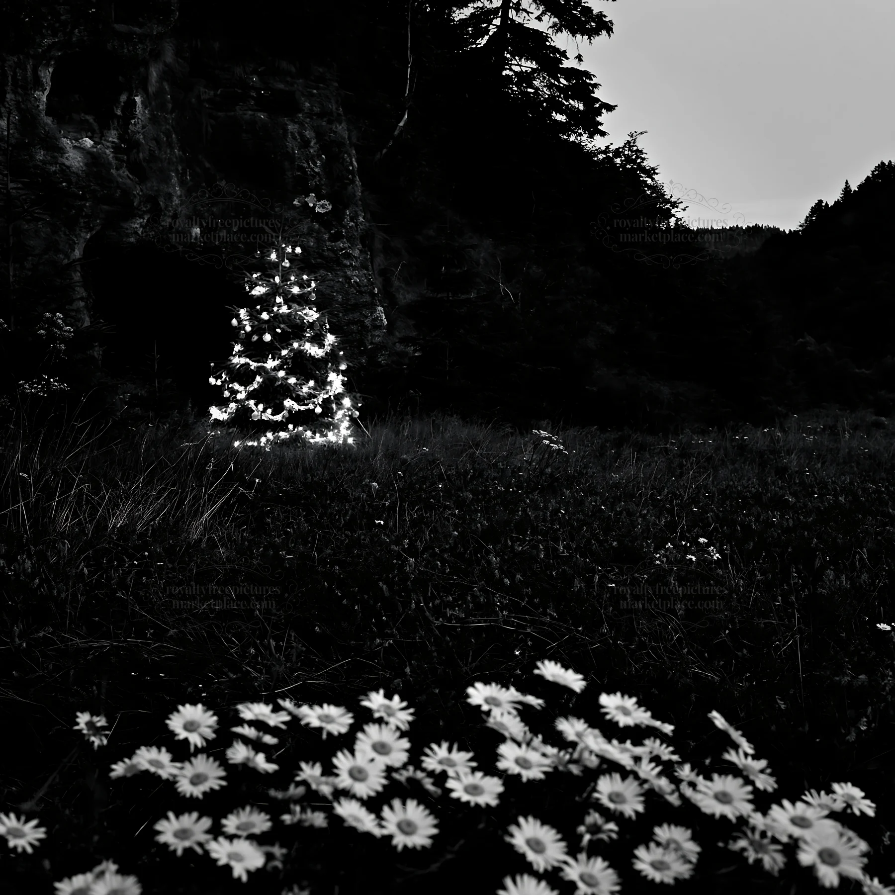 Christmas tree lights at dusk near a cave in a meadow - AI-generated stock image