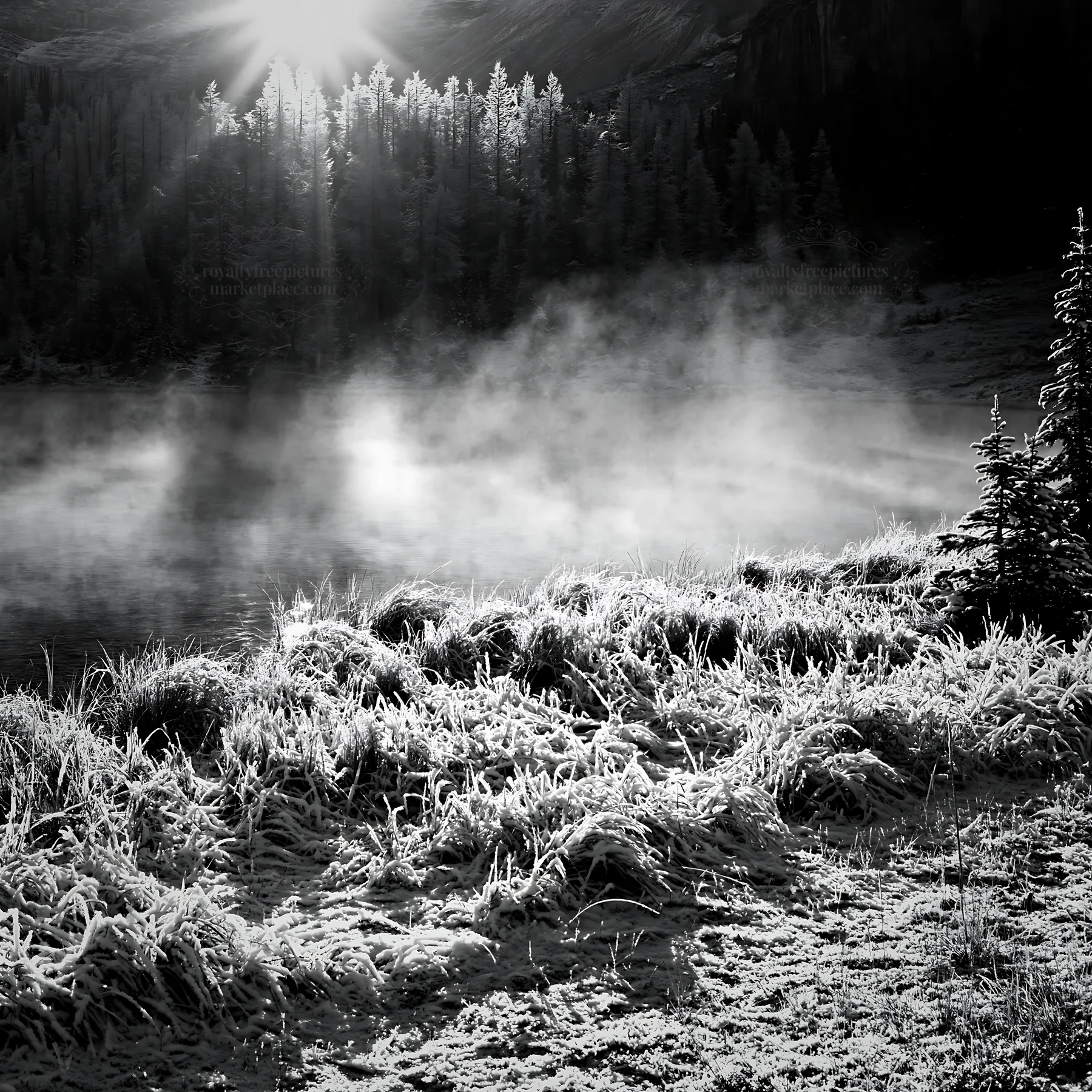 Black and white snowy lakeside meadow with sunlight and mist in the background - AI-generated stock image