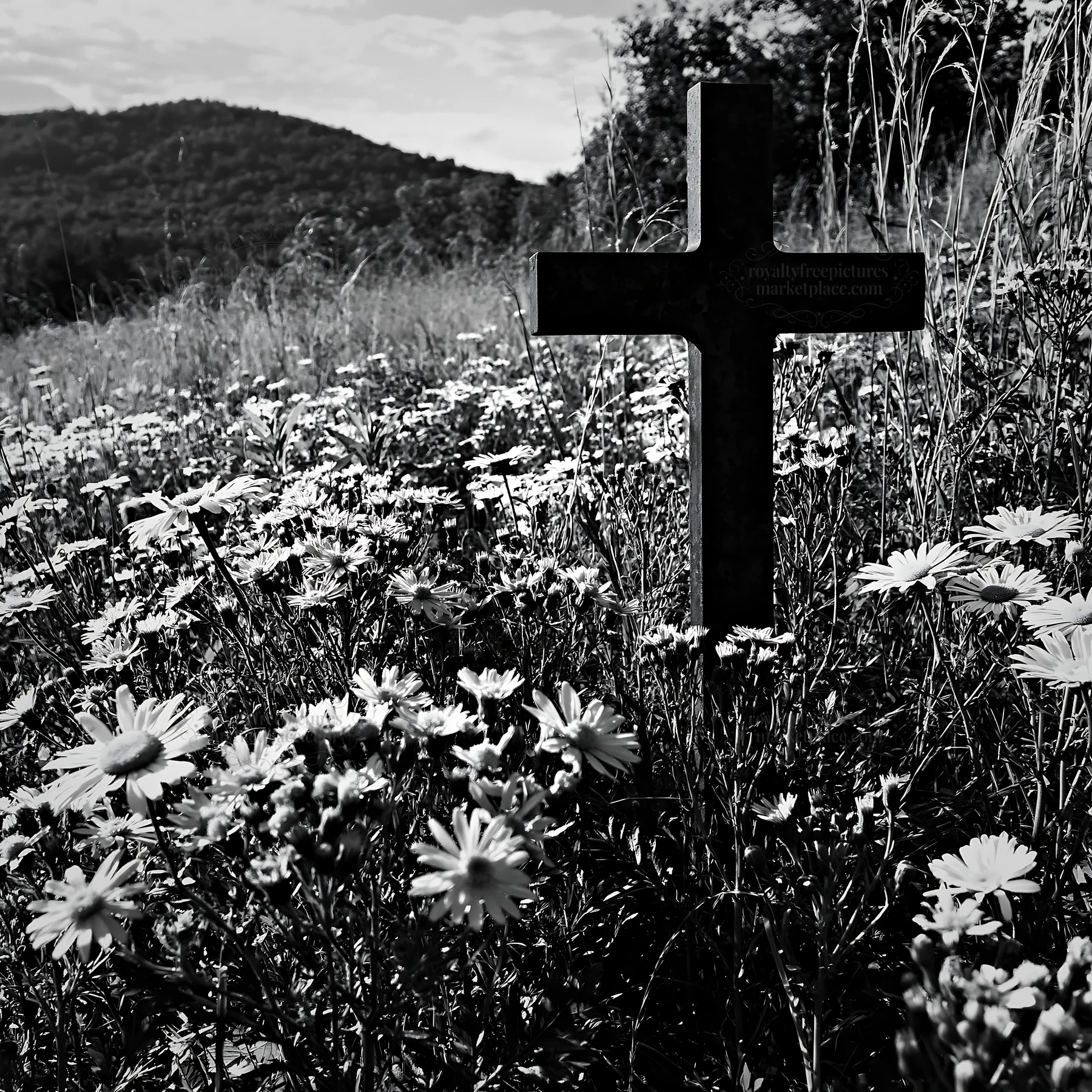 Cross in yellow wildflowers on a hillside - AI-generated stock image