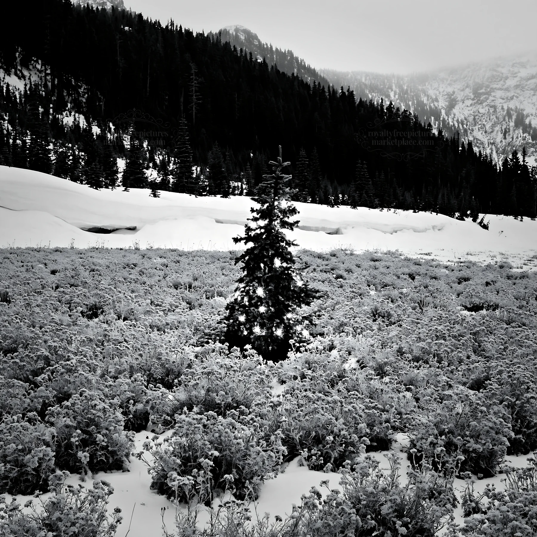 Christmas tree with lights in snowy mountain valley meadow - AI-generated stock image