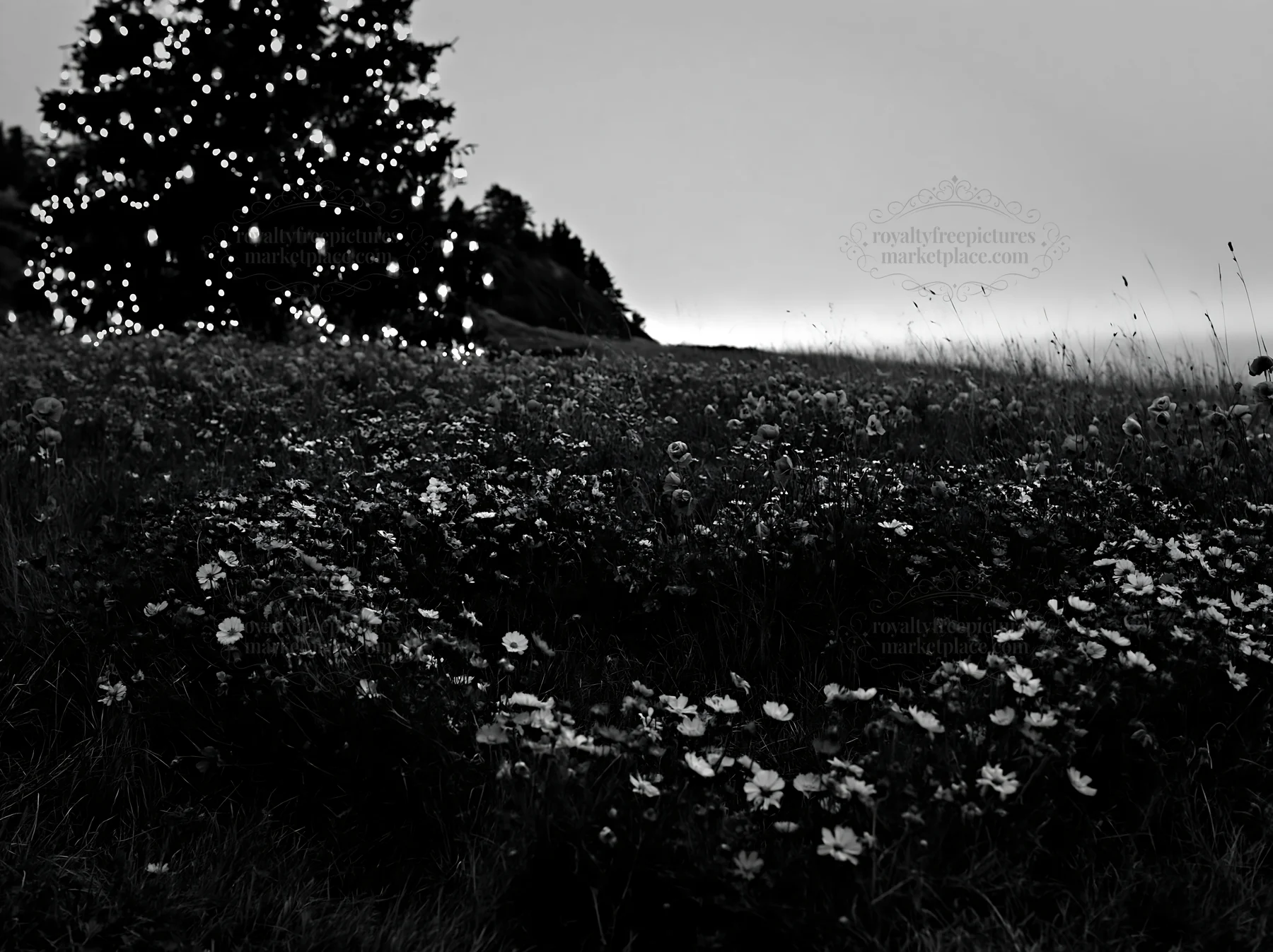 Christmas tree with lanterns in meadow by cave - AI-generated stock image