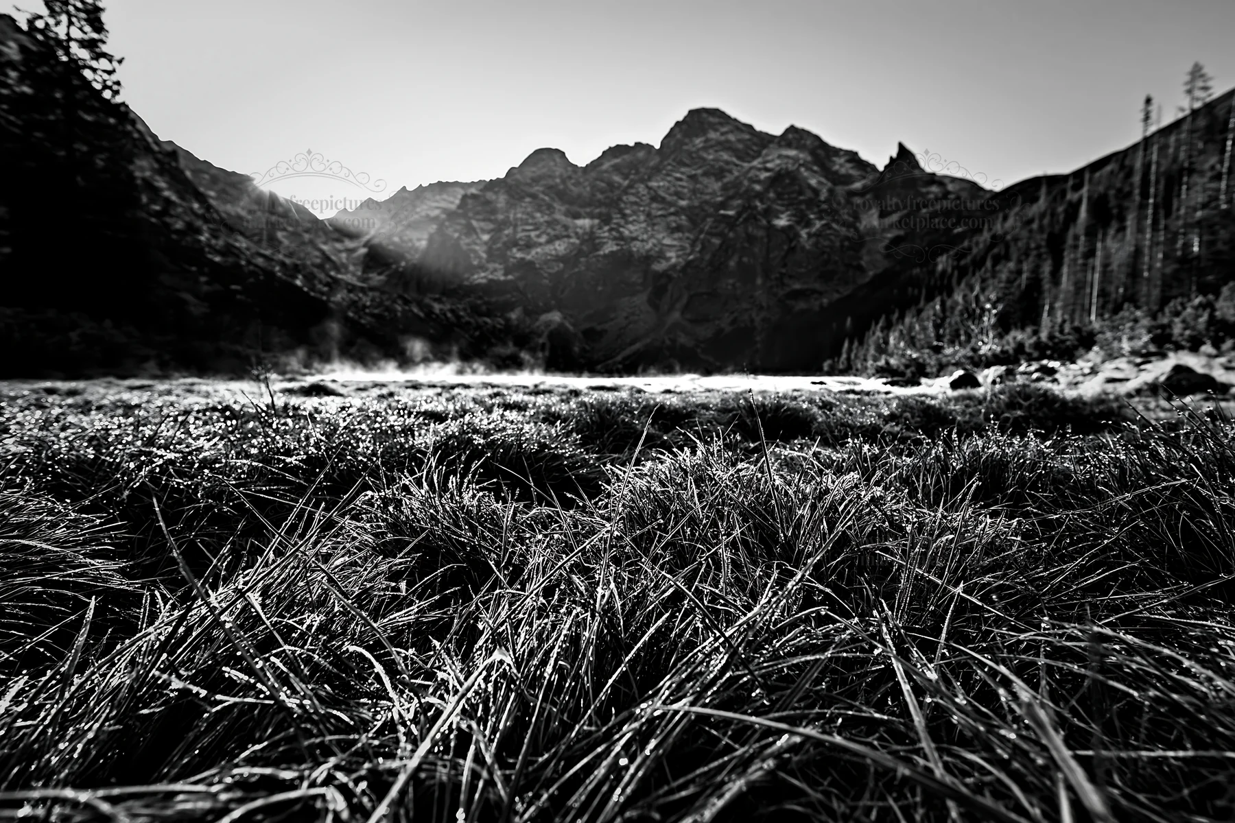 Meadow in rolling valley with mountains in the background - AI-generated stock image