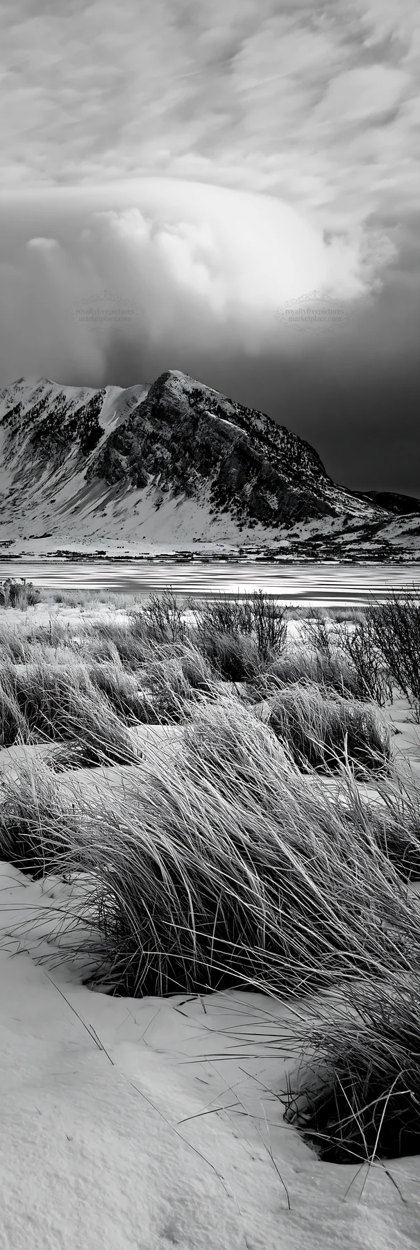 Snowy lakeside meadow with mountains in the background - AI-generated stock image