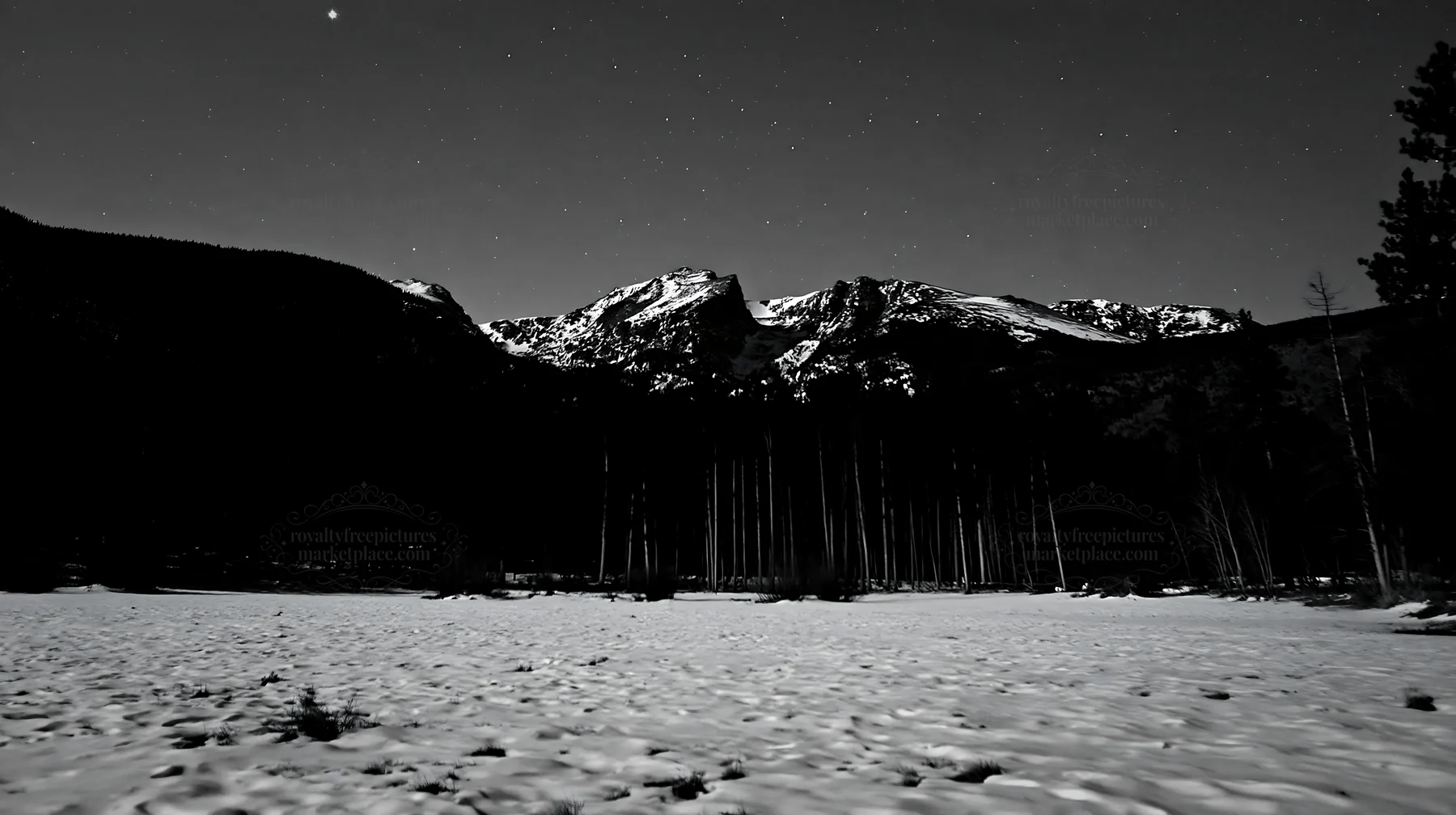 Snowy Rocky Mountain Park meadow under night sky - AI-generated stock image