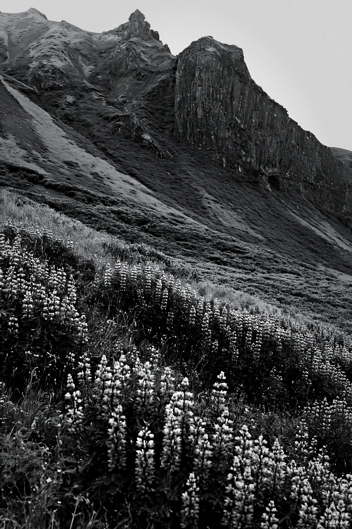 Meadow filled with flowers beneath rocky crags - AI-generated stock image