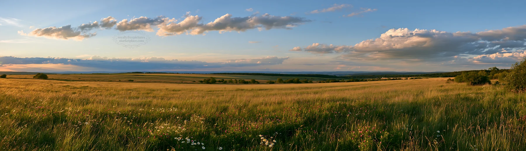 German foothill meadow at sunset with rolling hills and clouds - AI-generated stock image