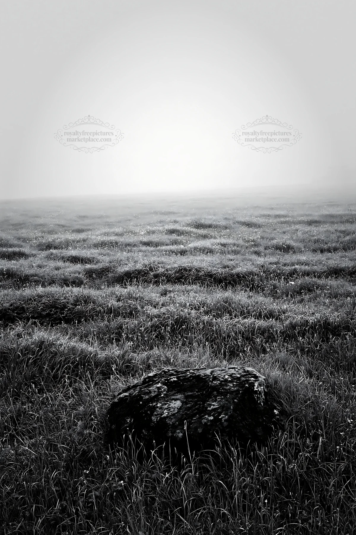 Mossy stone in recovery meadow of Miyagi in spring - AI-generated stock image