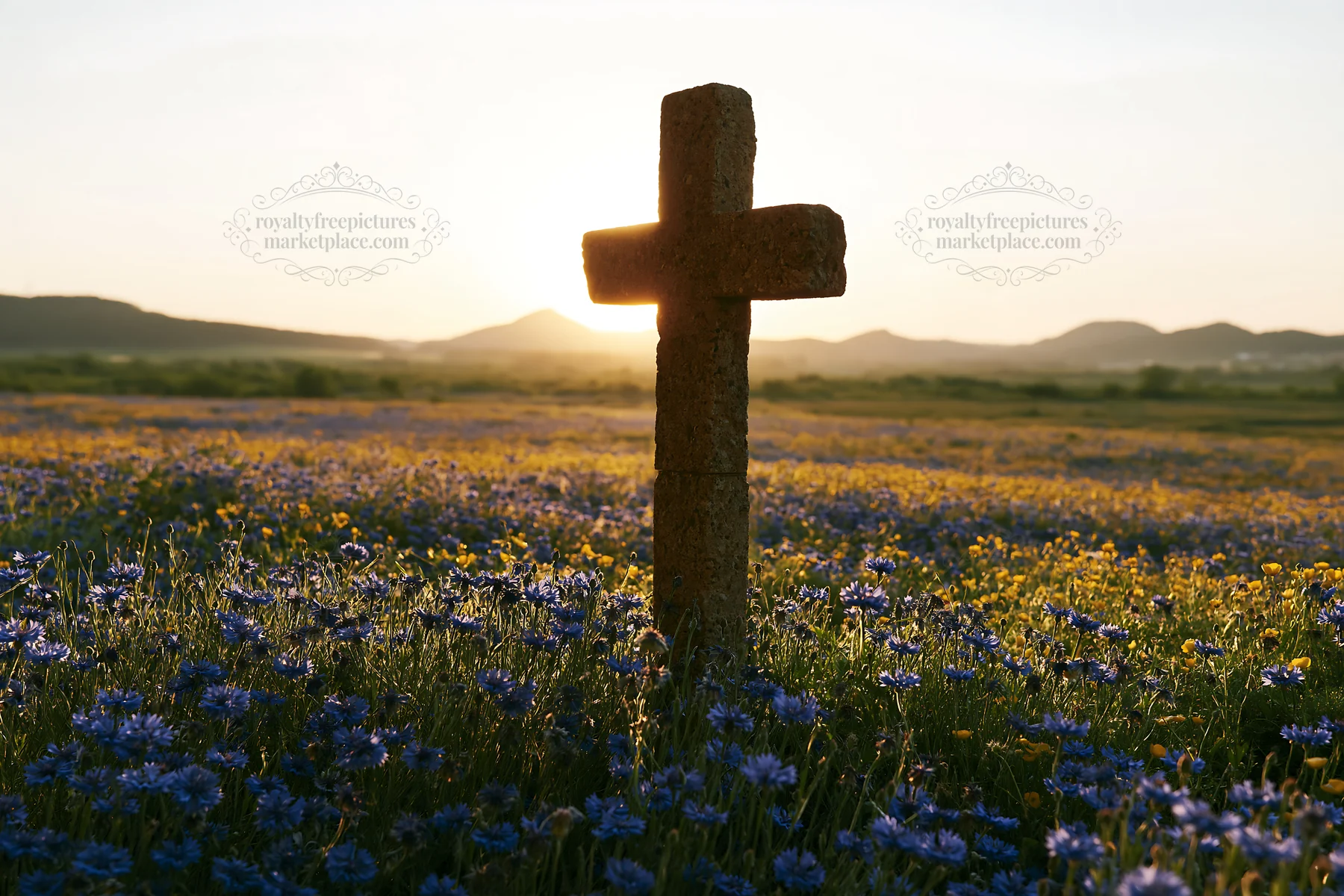Christian cross in backlit summer meadow at sunset - AI-generated stock image