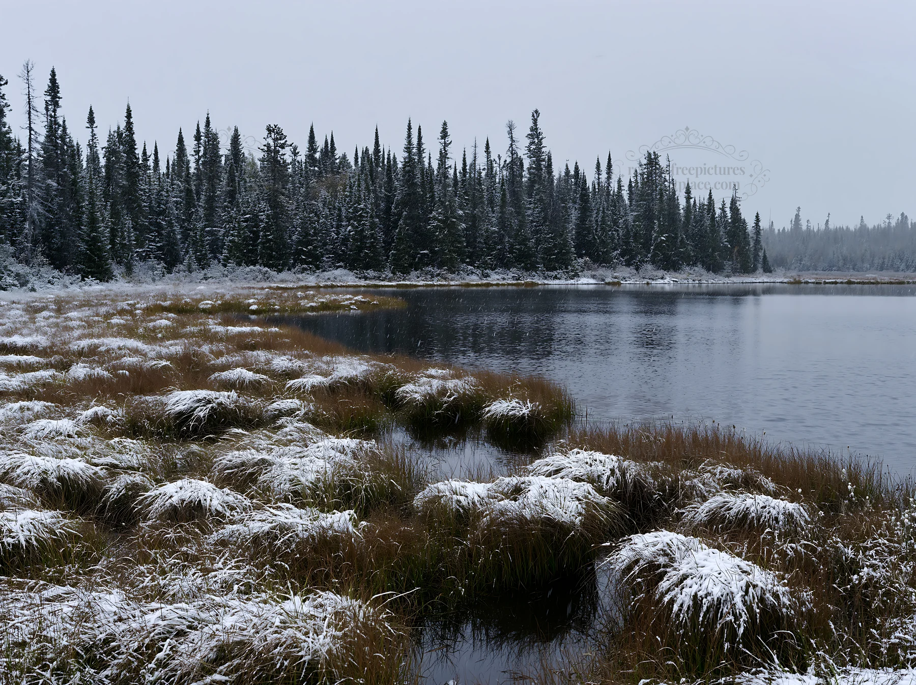 Lakeside meadow after first snowfall in winter landscape - AI-generated stock image