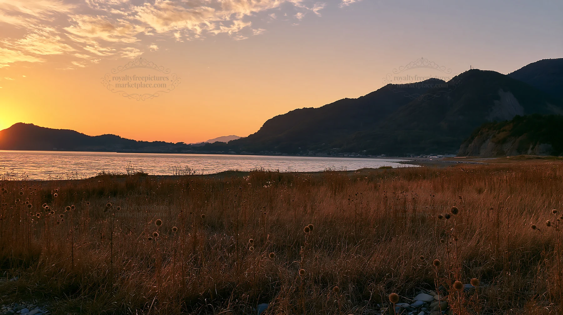 Ehime twilight meadow with dry seedheads at sunset - AI-generated stock image
