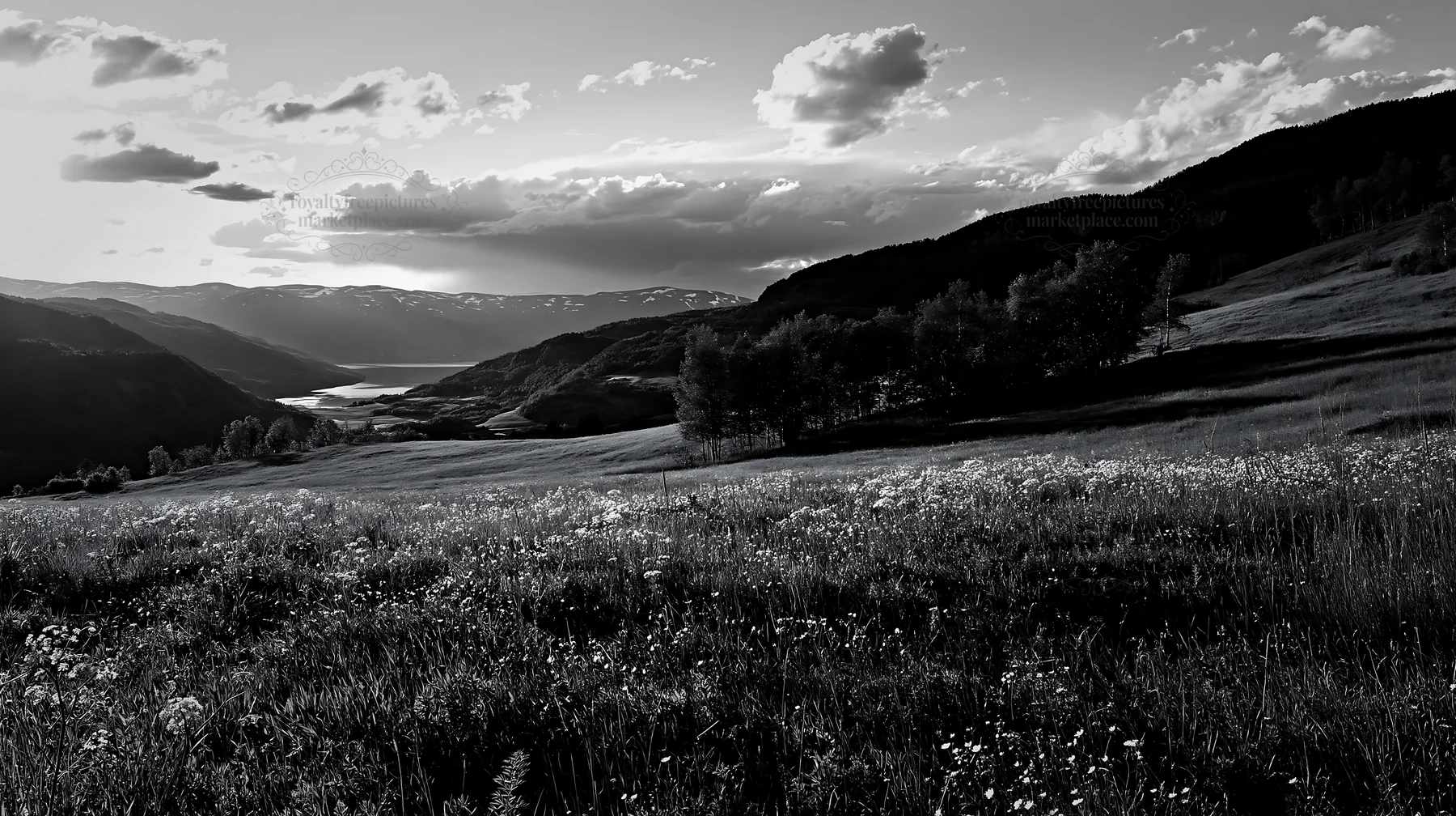 Meadow with rolling valley and distant mountains during sunset - AI-generated stock image