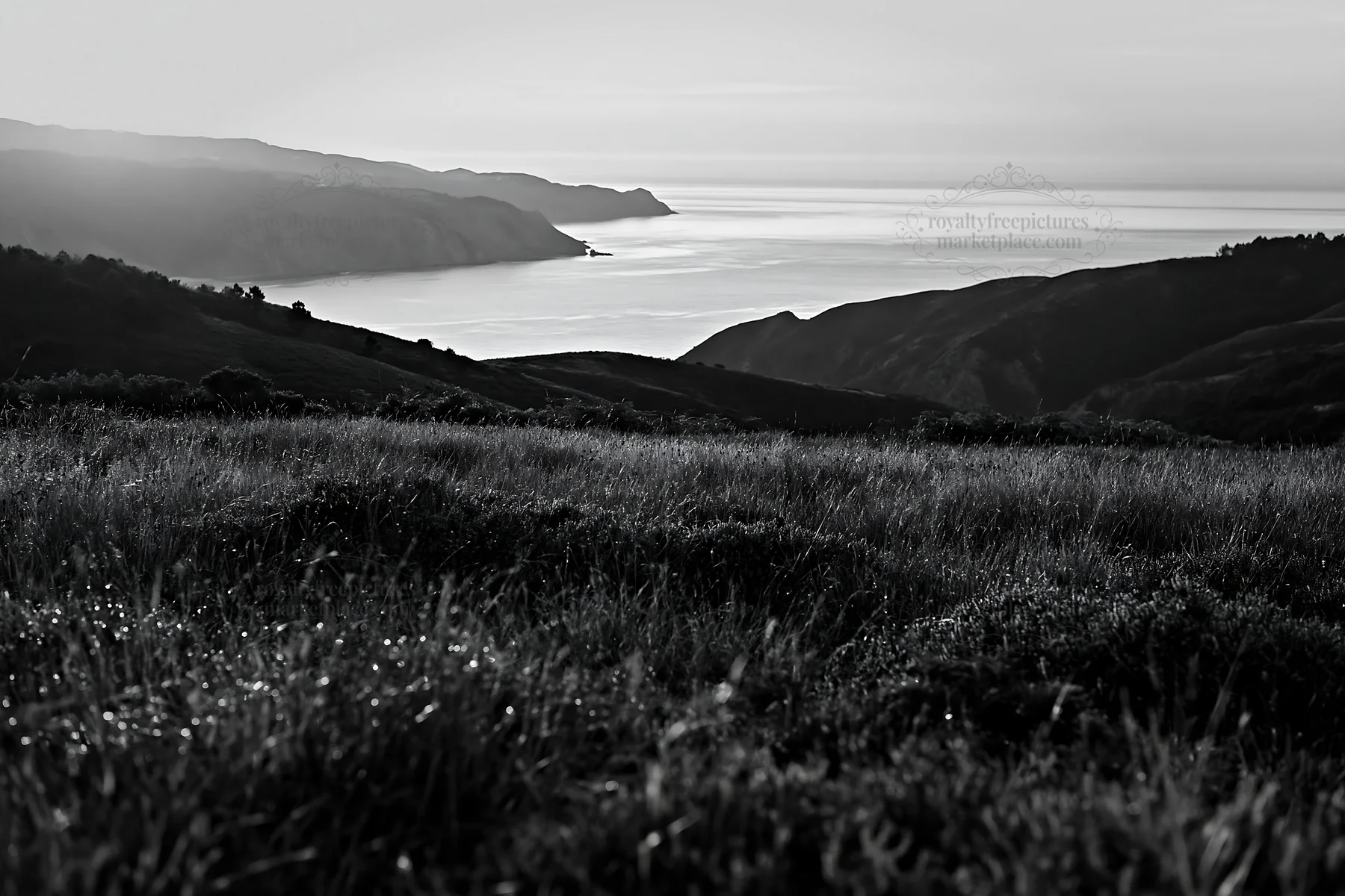 Meadow view above Atlantic coast in Portugal - AI-generated stock image