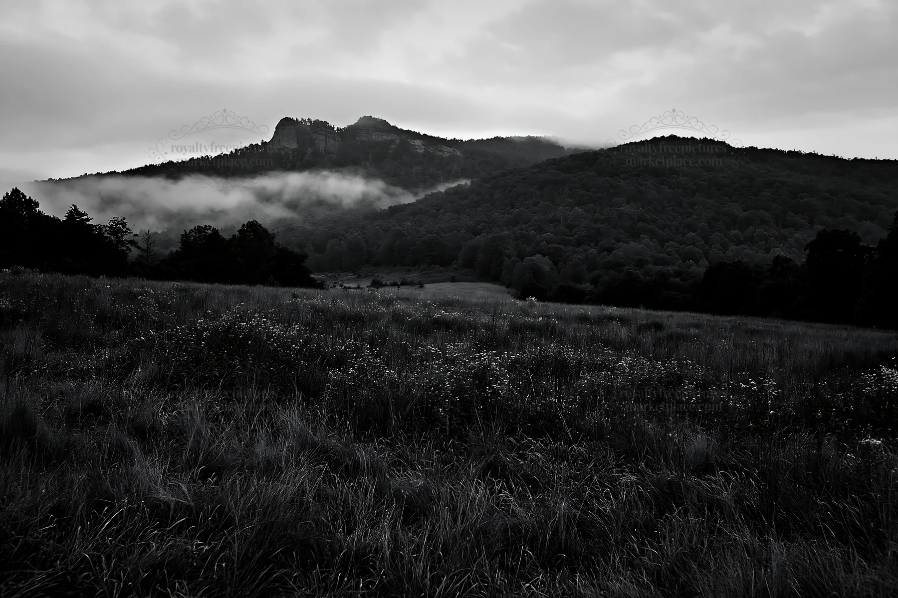 Dewy meadow with mountains in the background under cloudy skies - AI-generated stock image