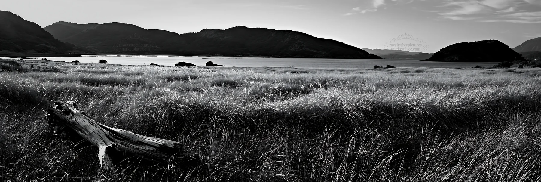 Black and white nagasaki coastal meadow driftwood foreground mood - AI-generated stock image