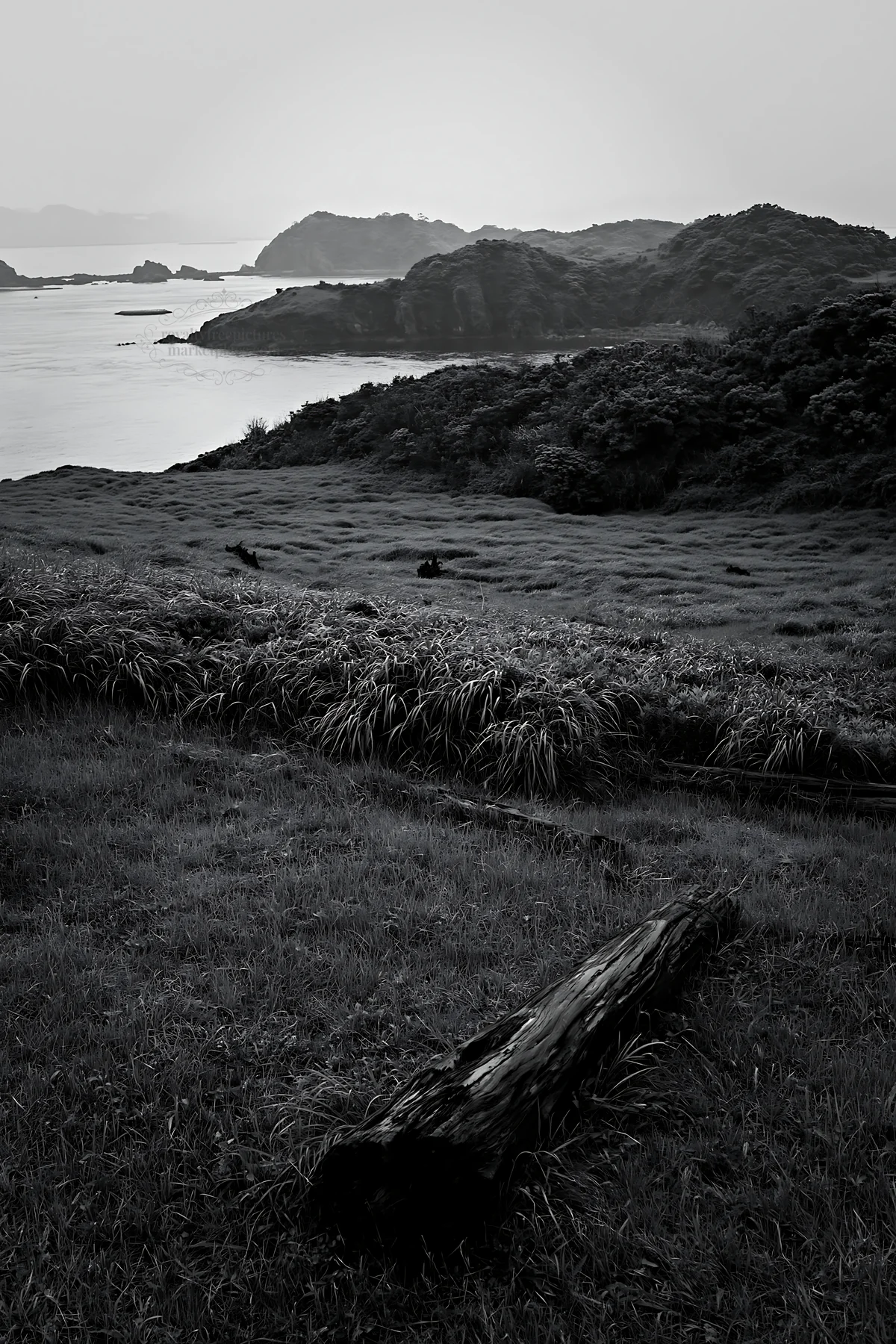 Black and white nagasaki coastal meadow driftwood foreground mood - AI-generated stock image
