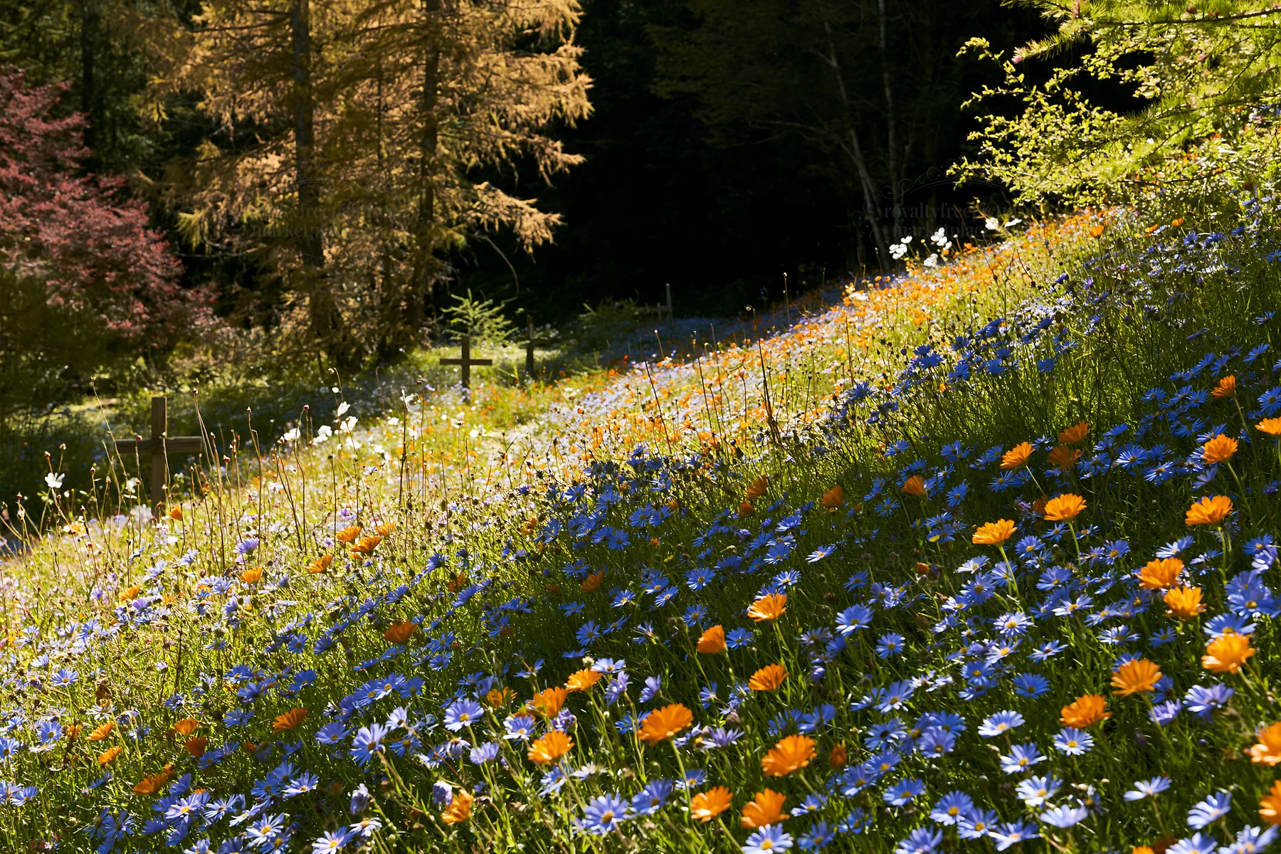 Christian crosses beside mineral spring meadow with flowers - AI-generated stock image