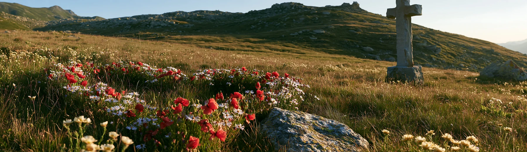 Christian cross in sunlit alpine meadow with wildflowers - AI-generated stock image
