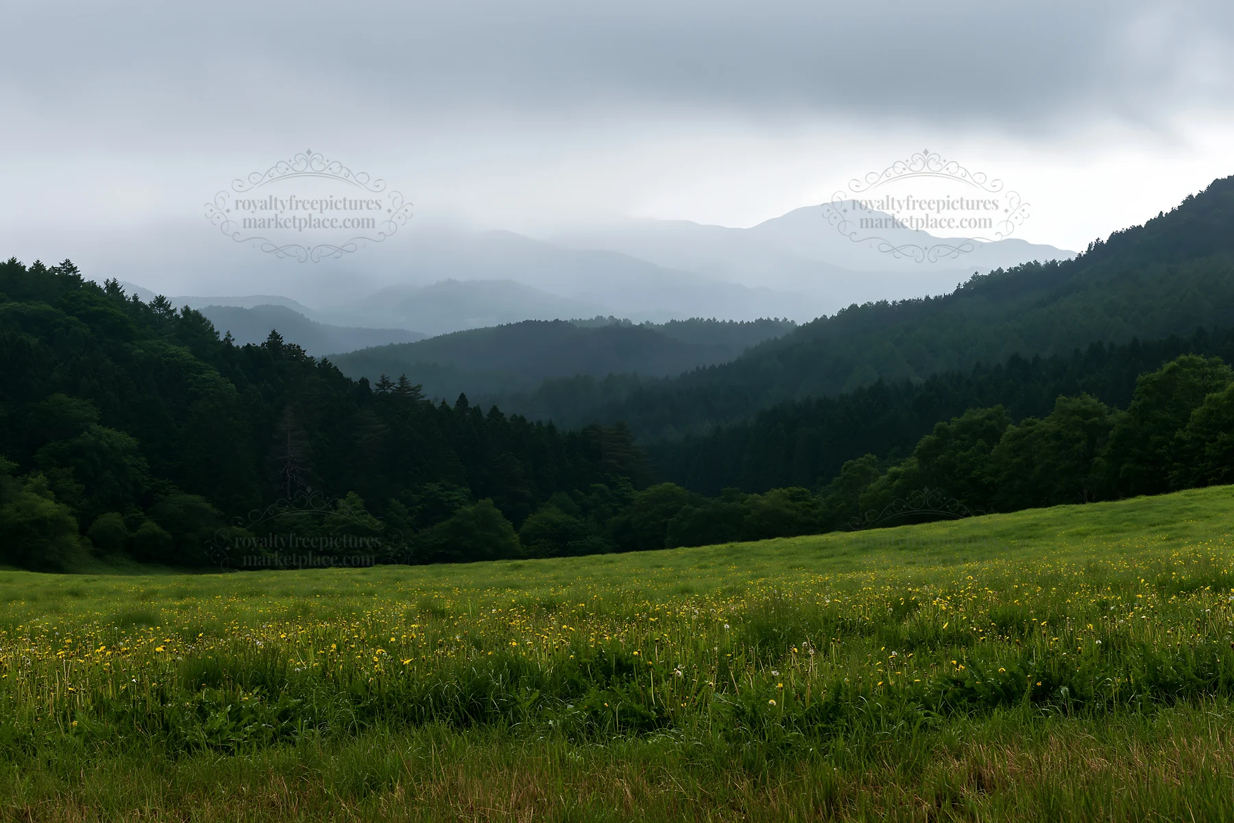 Shizuoka seasonal meadow after heavy rain - AI-generated stock image