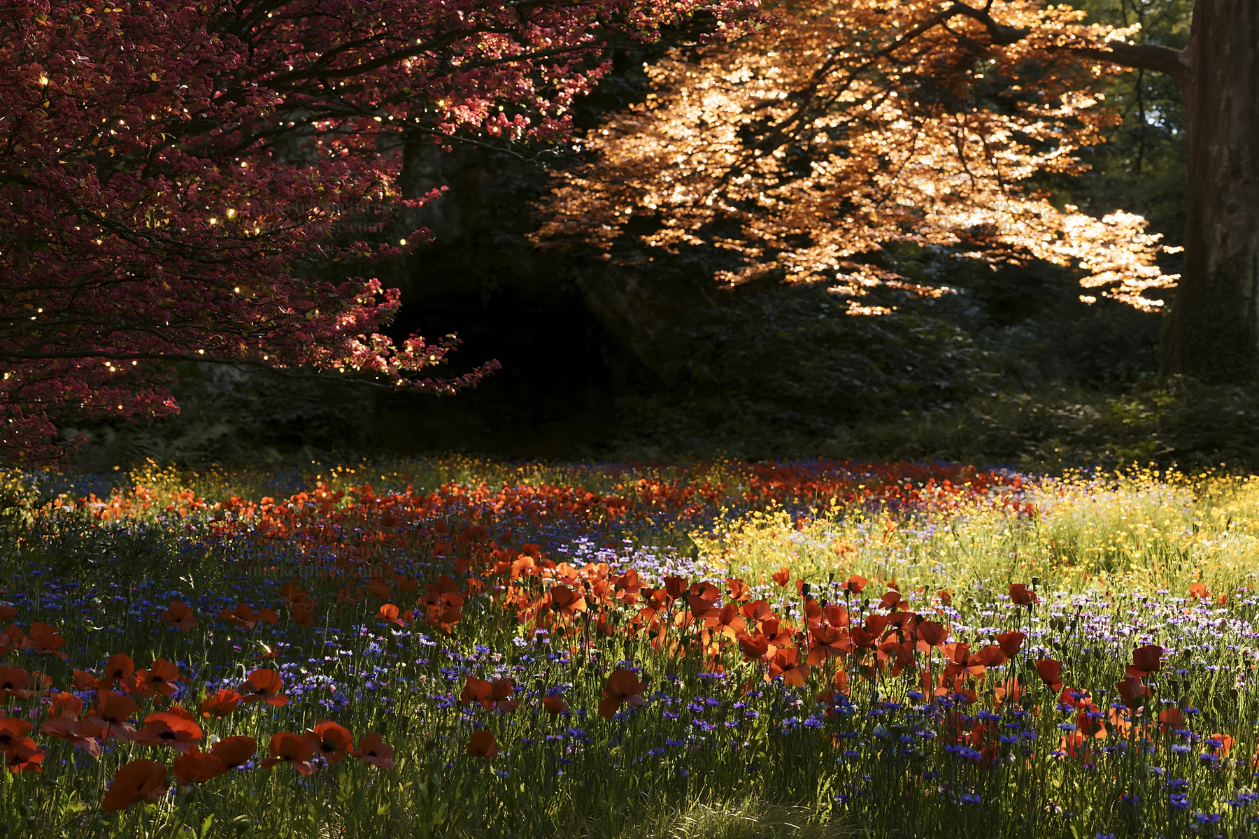 Christmas lights in meadow by cave - AI-generated stock image