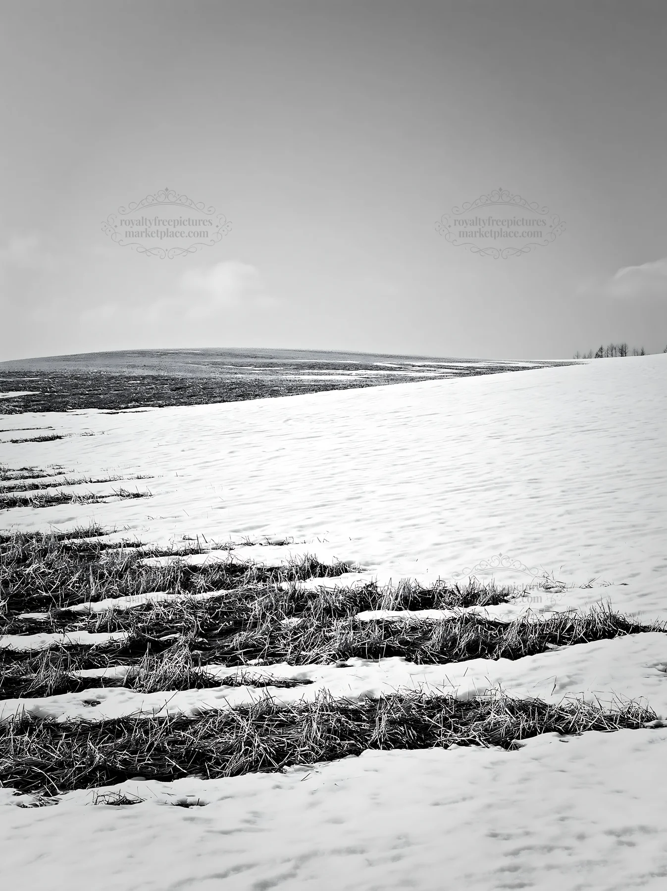 Snow covered hills in Biei, Japan during winter - AI-generated stock image