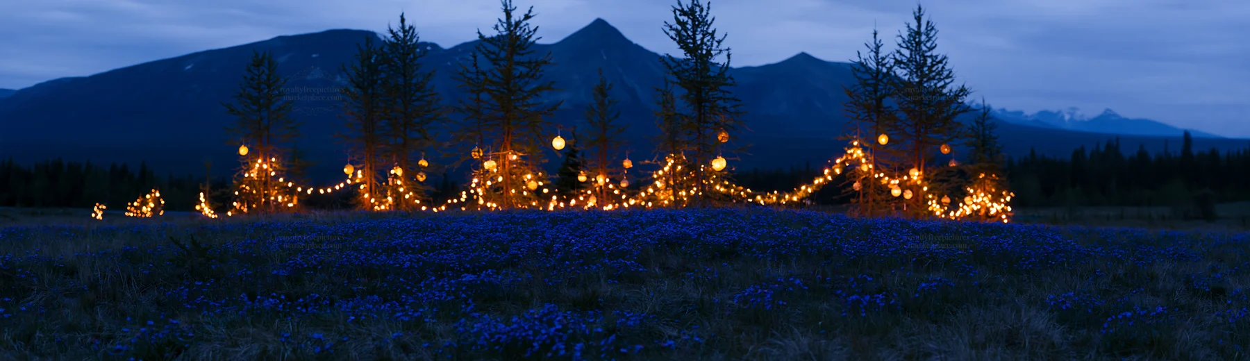 Vibrant Christmas lights shining in meadow at dusk - AI-generated stock image