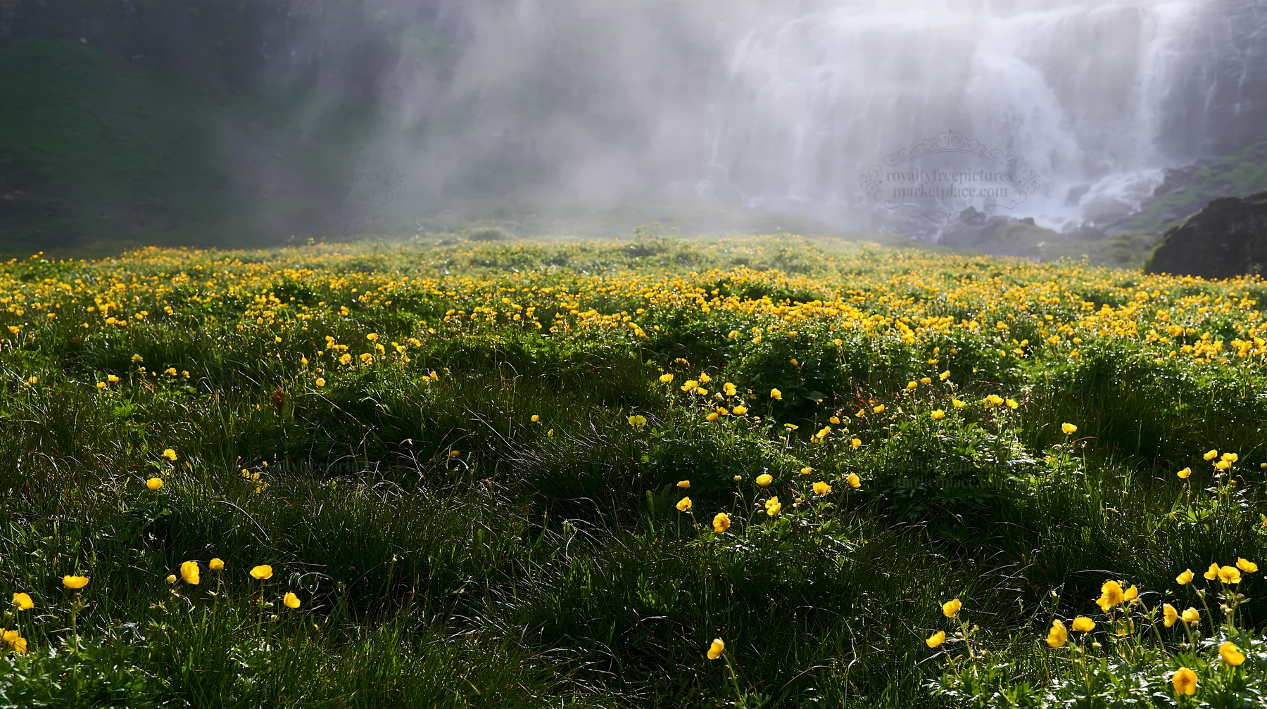 Misty waterfall with yellow flowers in a meadow - AI-generated stock image