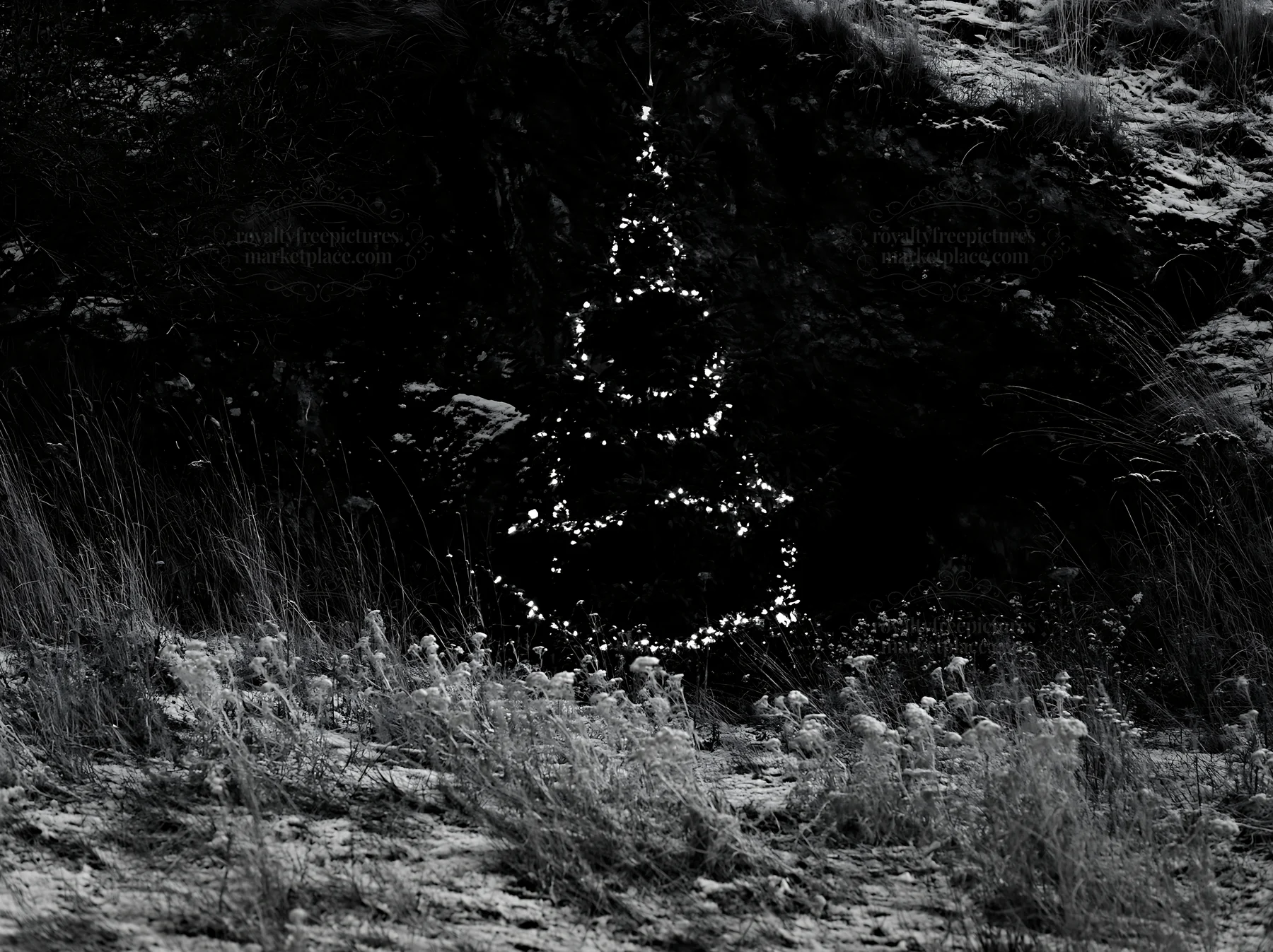 Christmas tree beside cave in meadow at night - AI-generated stock image
