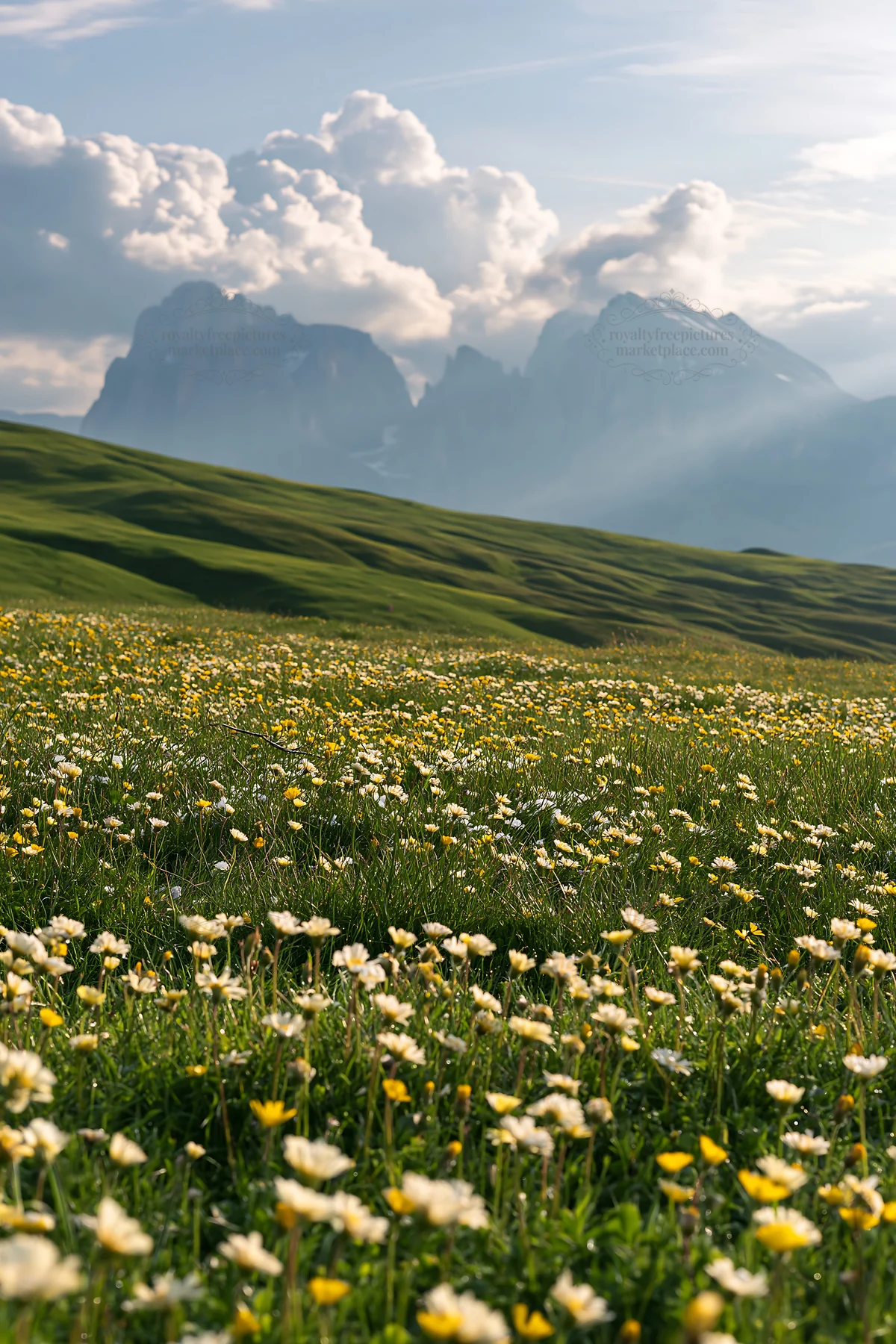 Alpe di Siusi meadow with sunbeams and mountain backdrop - AI-generated stock image