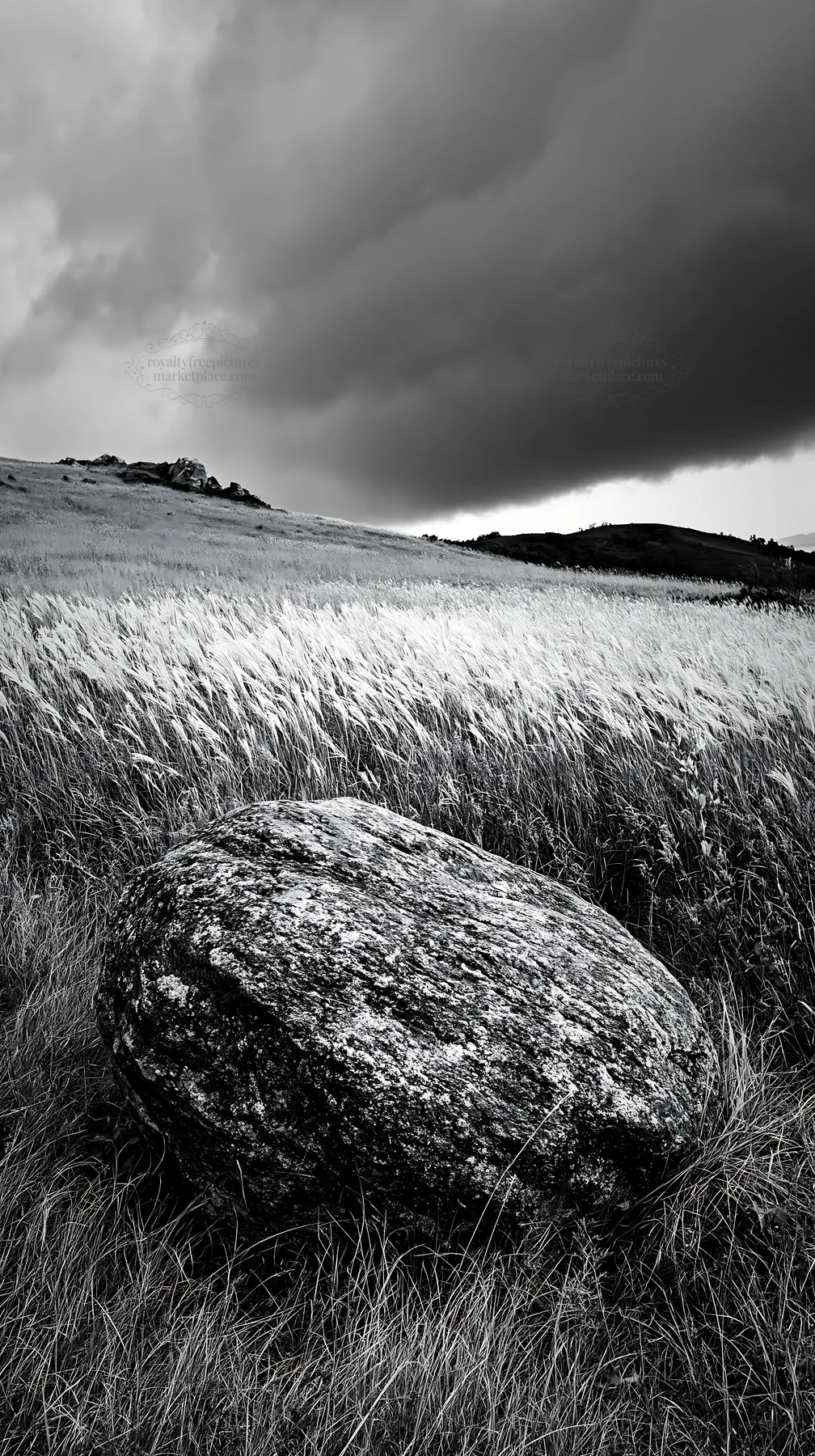 Black and white aomori climate resilient meadow with boulder under cloudy sky - AI-generated stock image