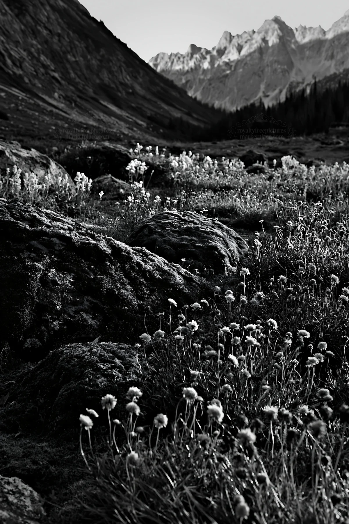 Mossy boulder meadow with flowers and mountains in the background - AI-generated stock image