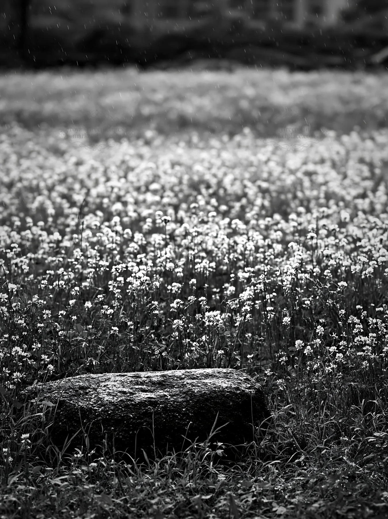 Hiroshima meadow with smooth rock in rainy weather - AI-generated stock image