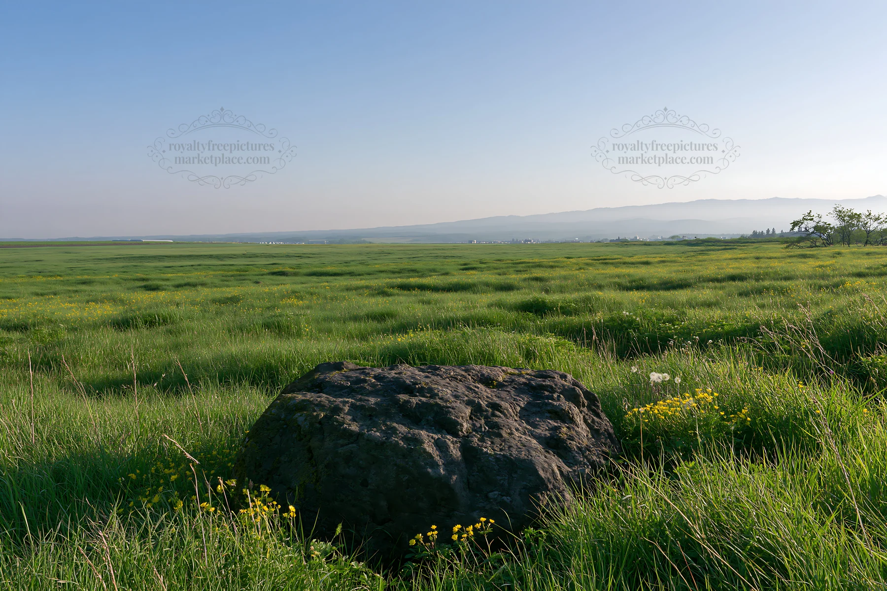Aomori climate resilient meadow with boulder under clear sky - AI-generated stock image