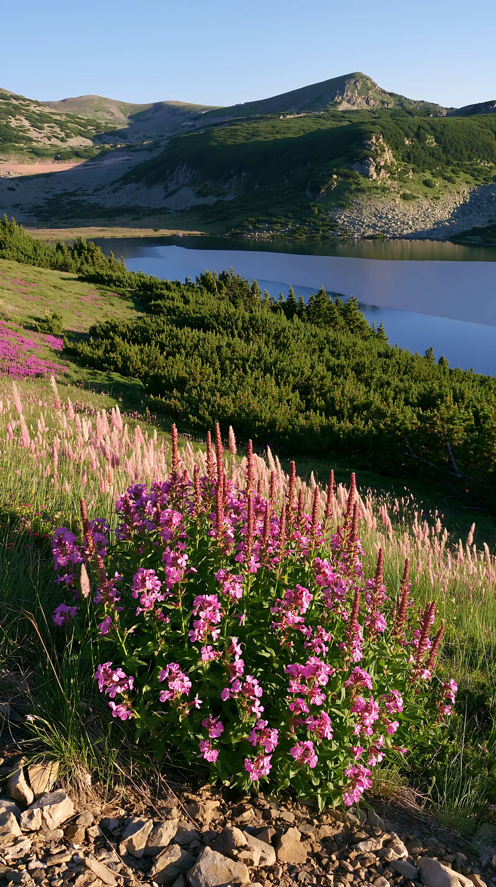 Celestial meadow lake with blooming flowers in foreground - AI-generated stock image