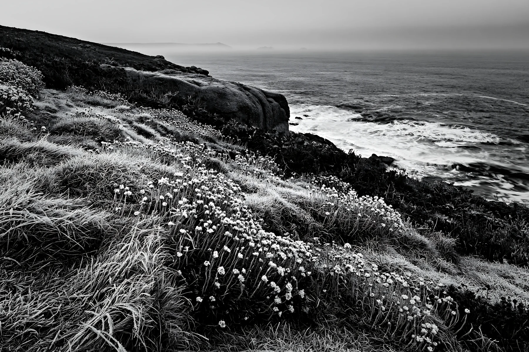 Frost-covered meadow near the ocean - AI-generated stock image