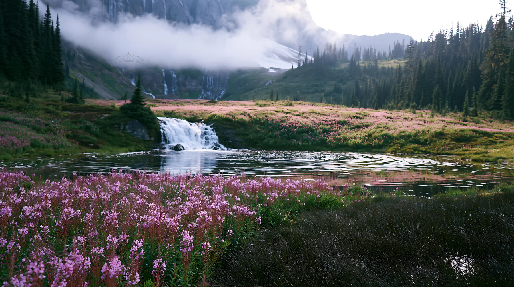 Flower meadow with waterfall reflection in natural landscape - AI-generated stock image