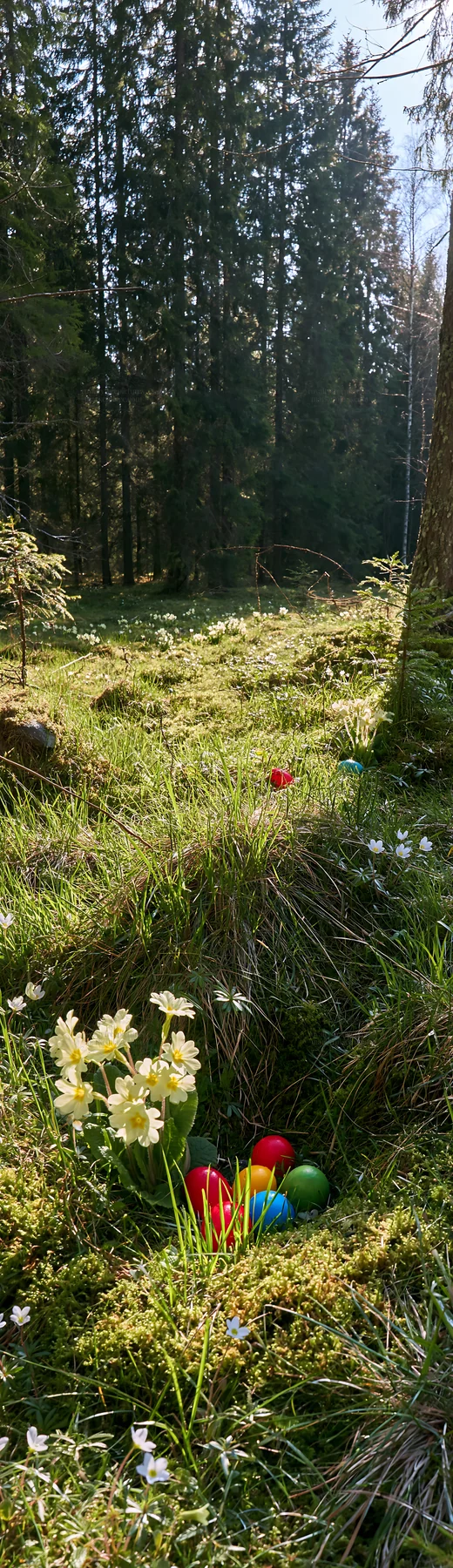Spruce forest meadow with flowers and colorful objects - AI-generated stock image
