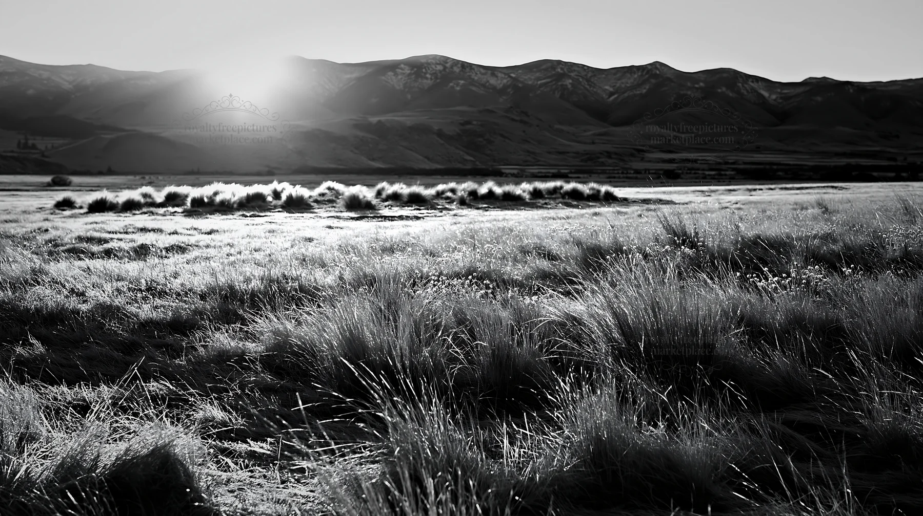 Frosty meadow at sunrise with distant mountains - AI-generated stock image