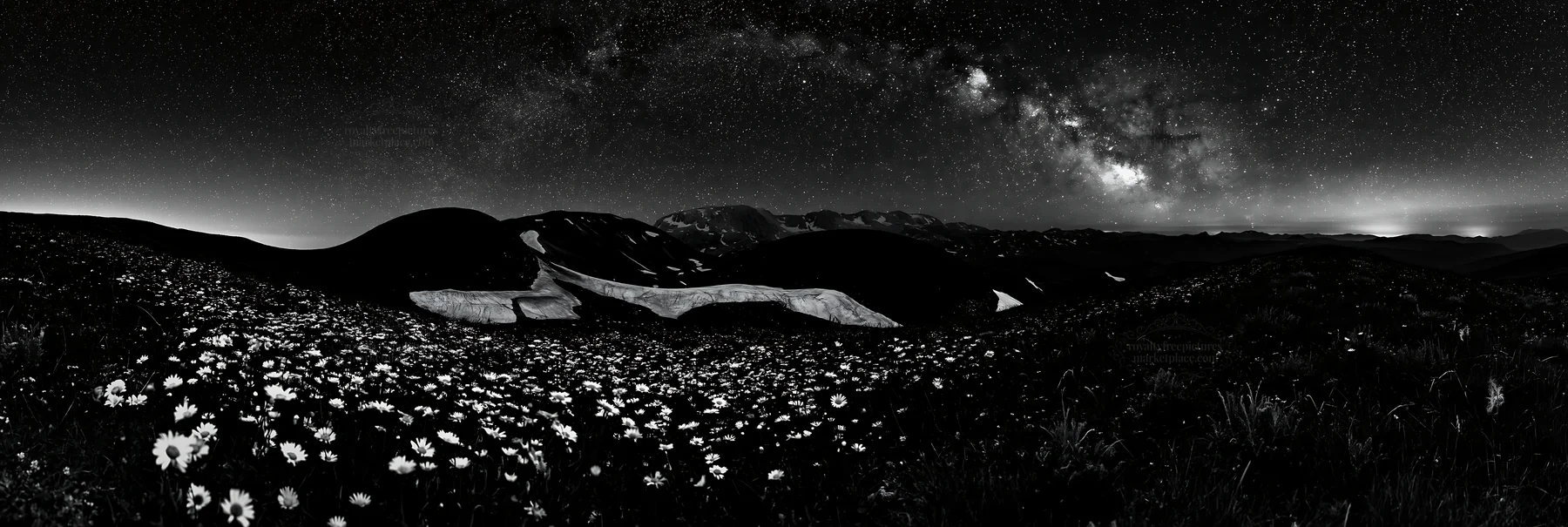 Black and white starlit meadow with flowers under a night sky - AI-generated stock image