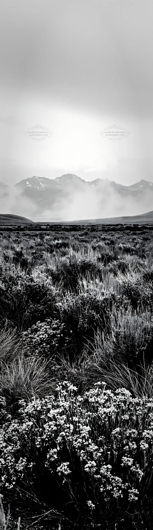 Black and white sagebrush meadow light with mountains in the background - AI-generated stock image