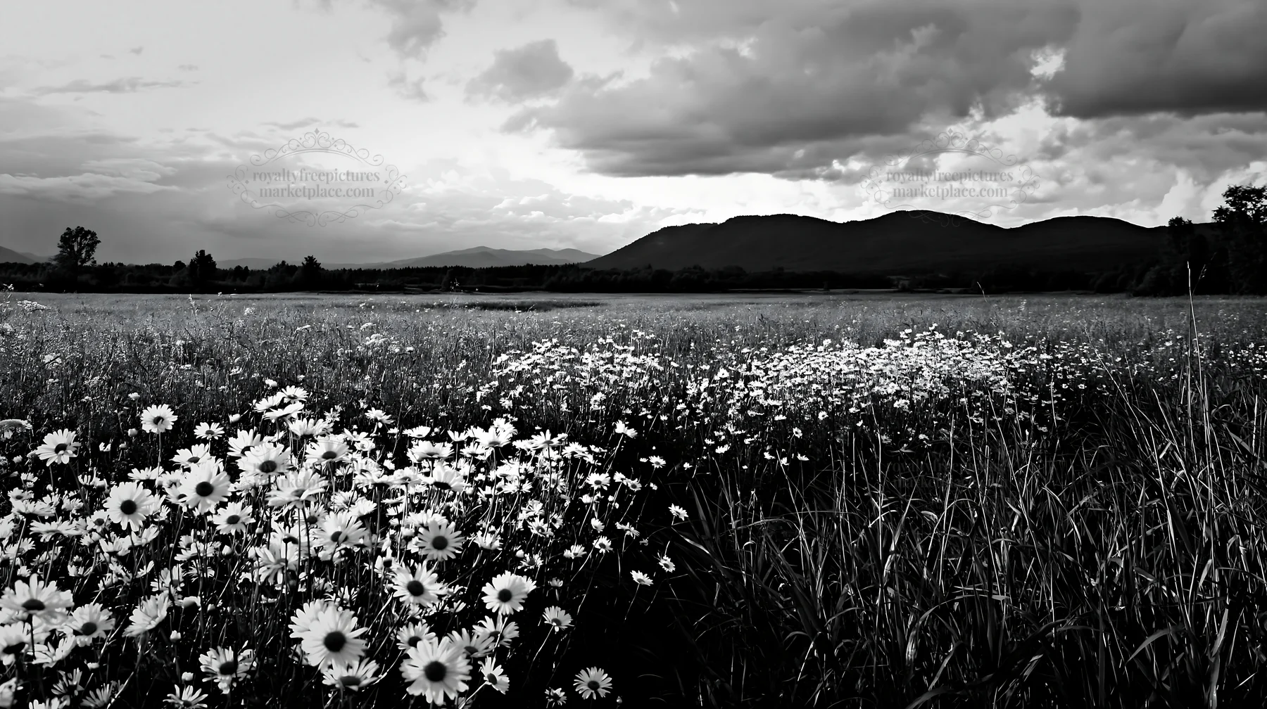 Floodplain meadow with reeds and flowers in Saga - AI-generated stock image