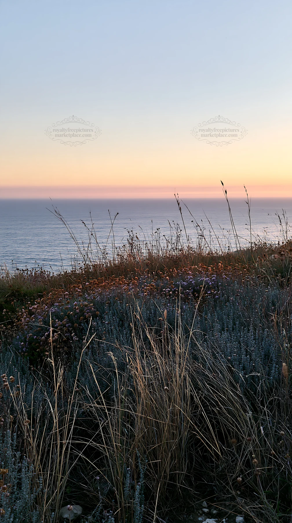 Clifftop meadow with ocean view at sunset - AI-generated stock image