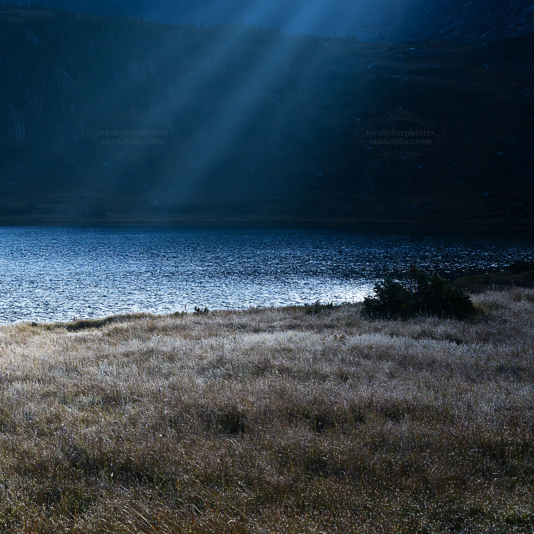 Sunshine meadows banff with light rays through the trees - AI-generated stock image