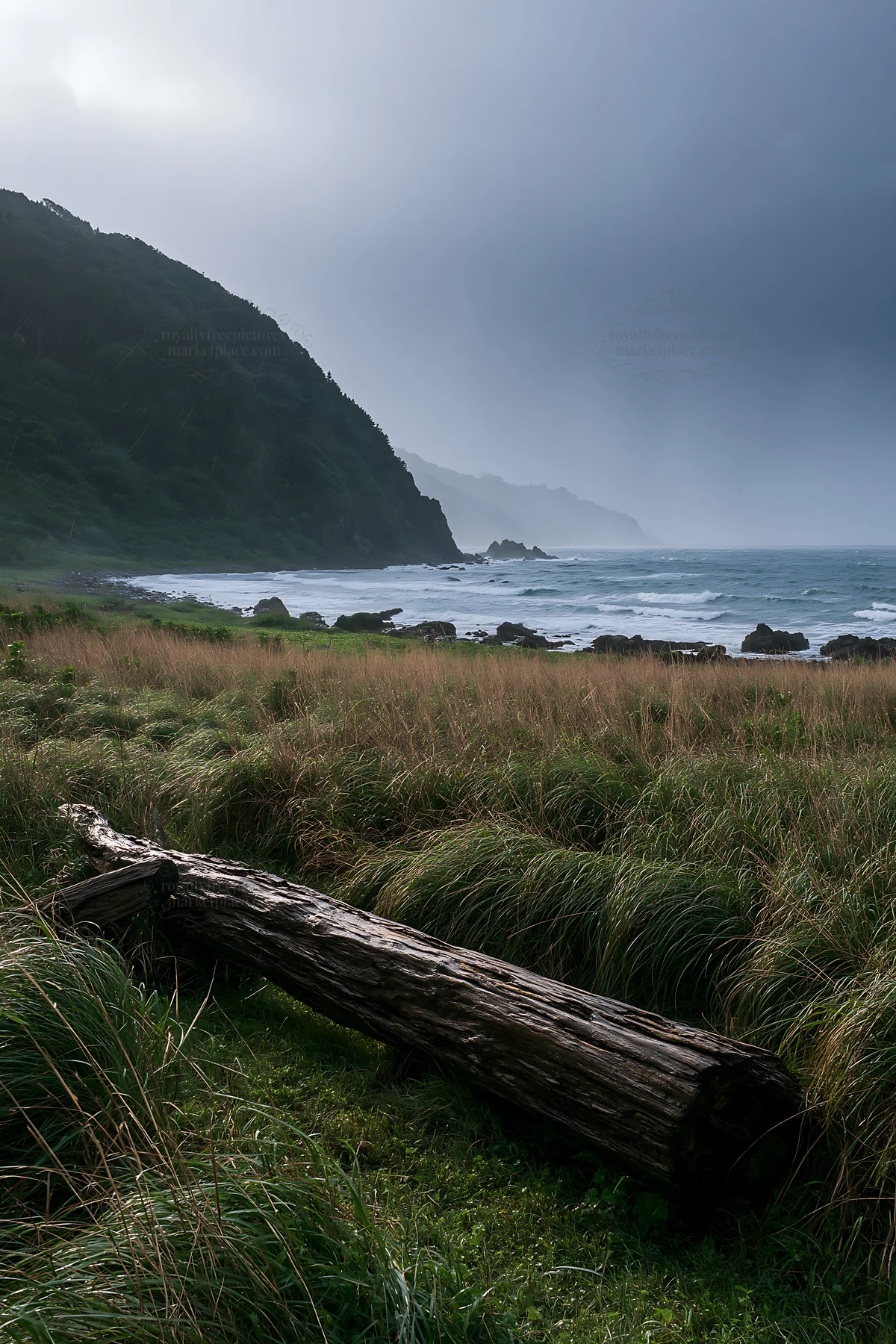 Ishikawa coastal meadow with storm washed driftwood - AI-generated stock image